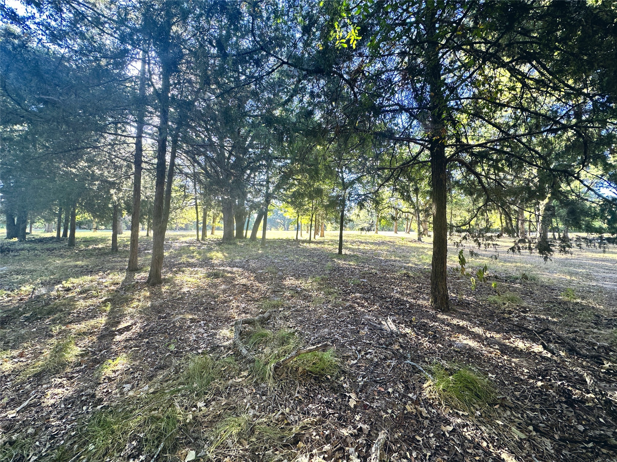 Lot 65 Sombrilla Lane Kerens TX 75144