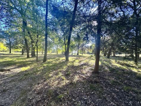 Lot 65 Sombrilla Lane Kerens TX 75144