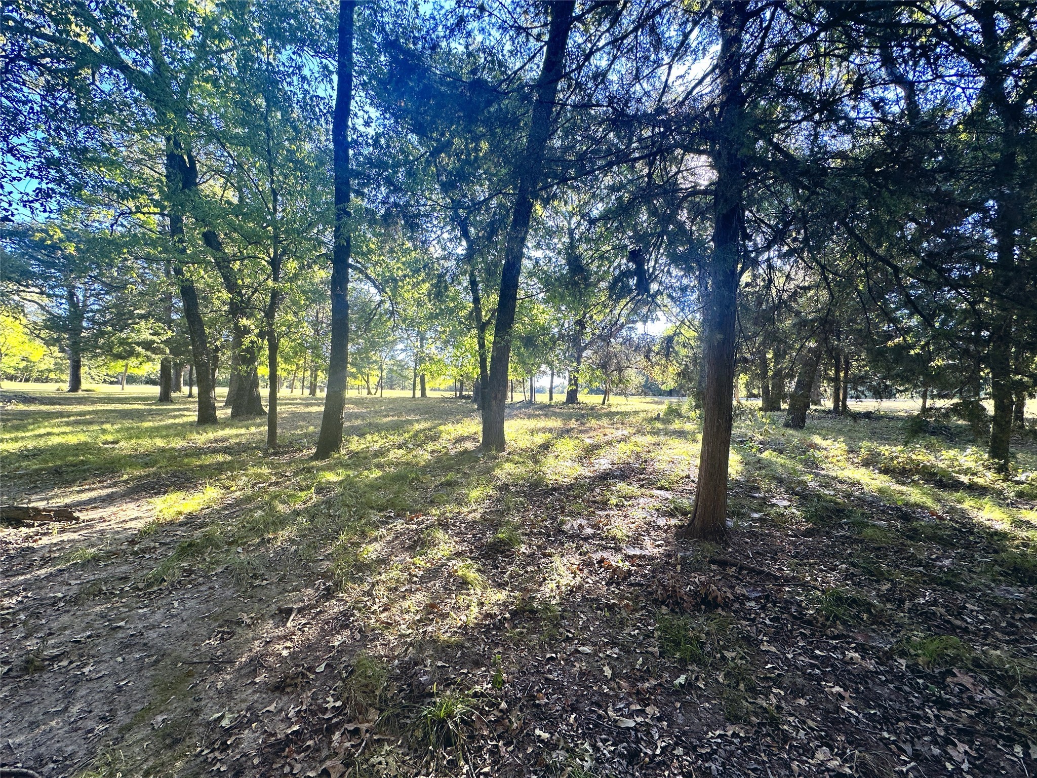 Lot 65 Sombrilla Lane Kerens TX 75144