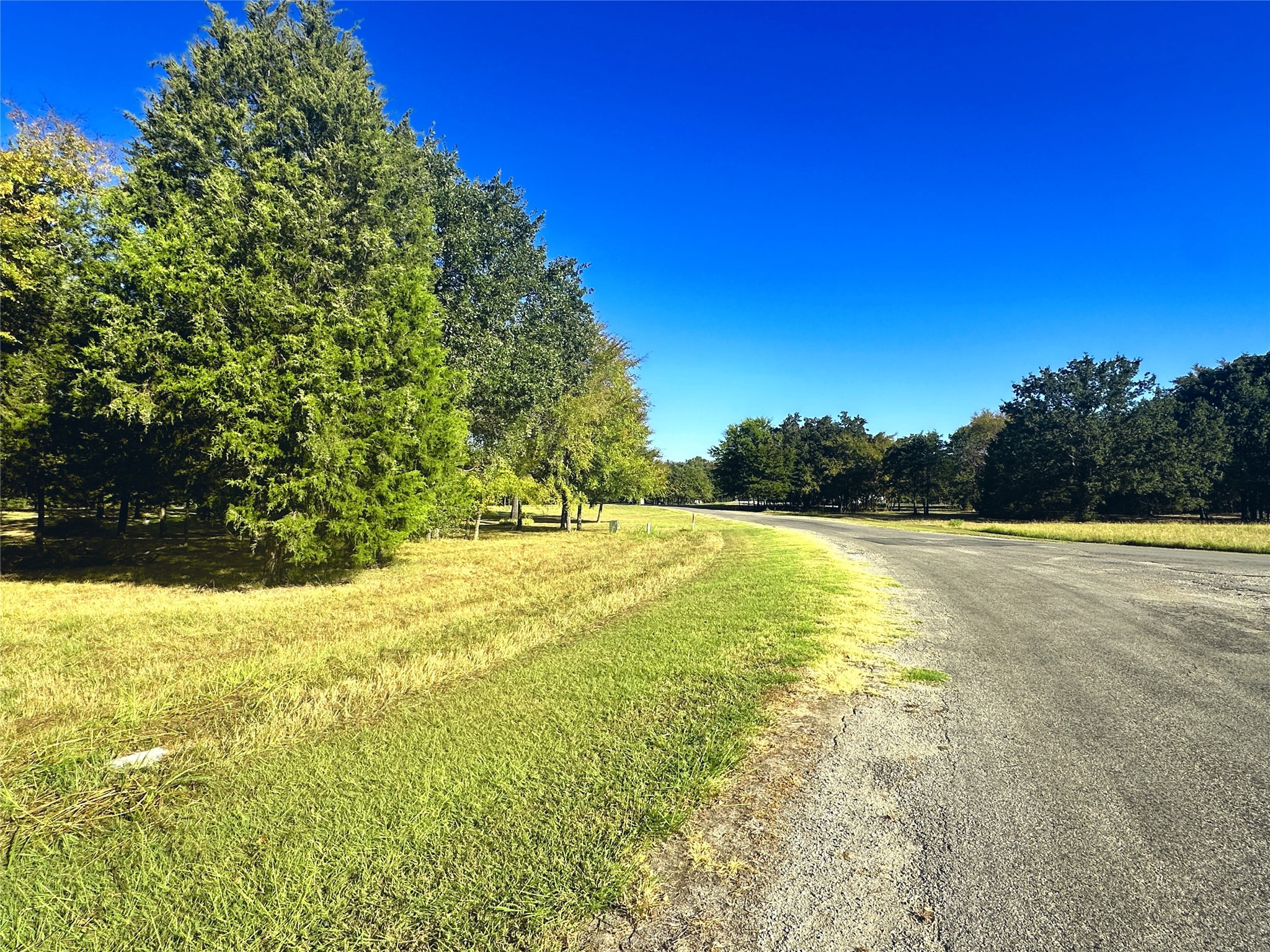 Lot 65 Sombrilla Lane Kerens TX 75144