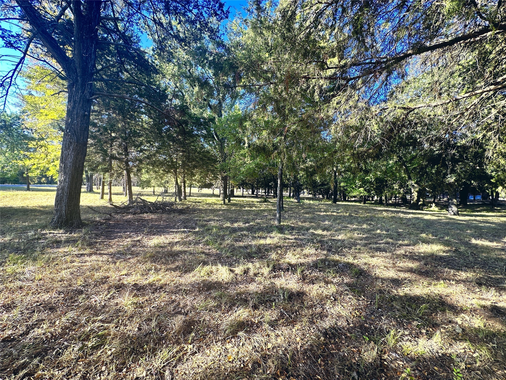 Lot 65 Sombrilla Lane Kerens TX 75144