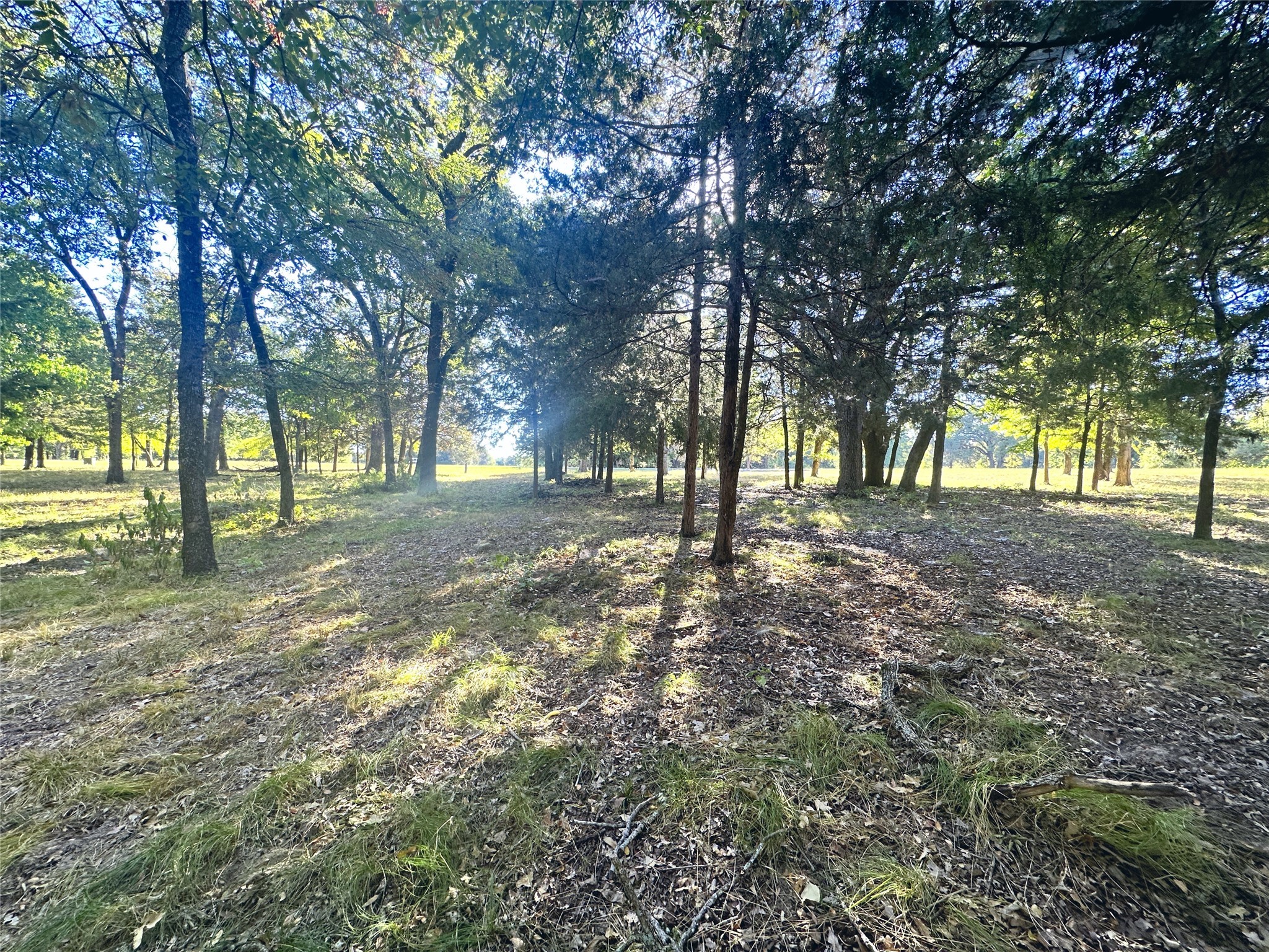 Lot 65 Sombrilla Lane Kerens TX 75144