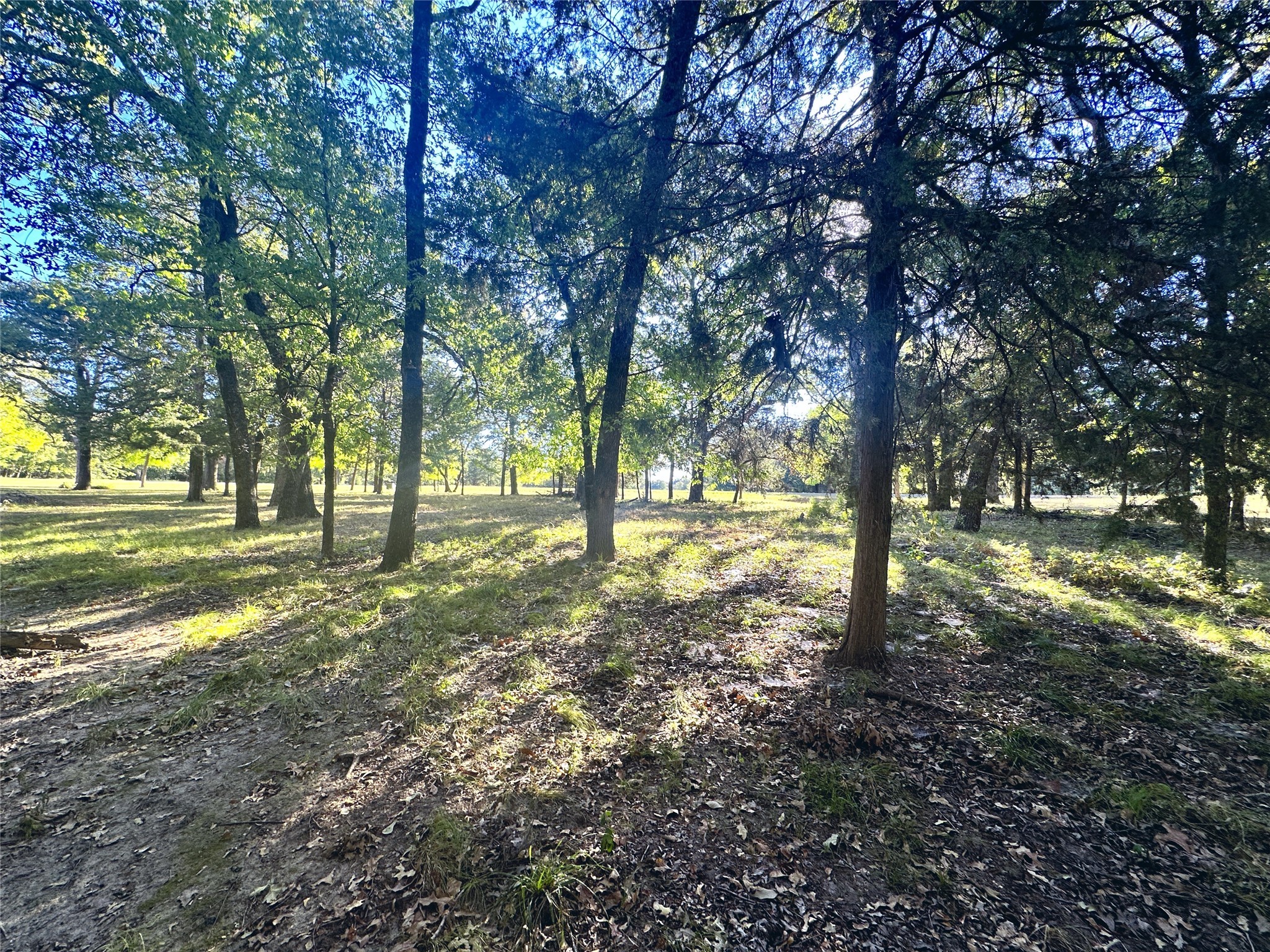 Lot 65 Sombrilla Lane Kerens TX 75144