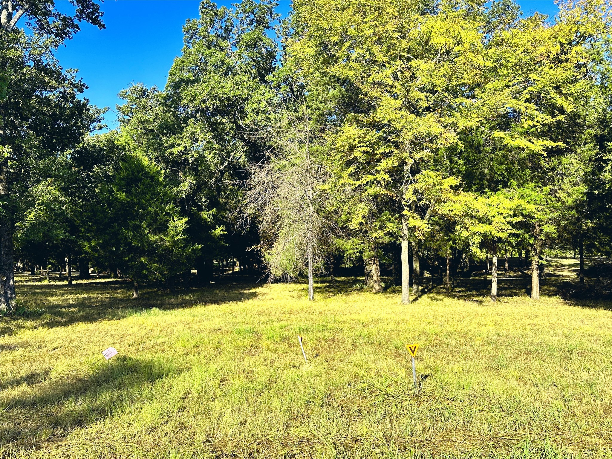 Lot 65 Sombrilla Lane Kerens TX 75144