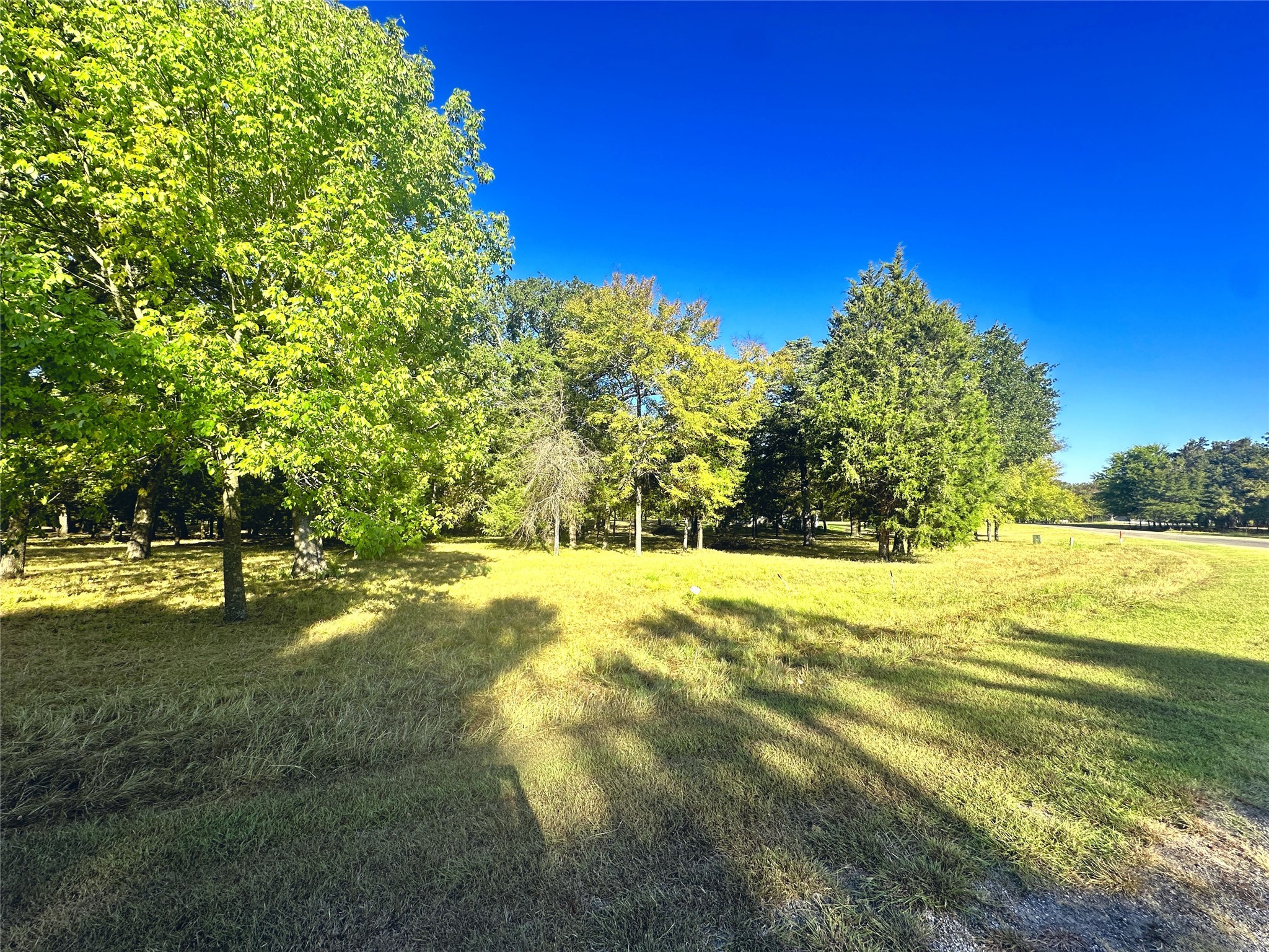 Lot 65 Sombrilla Lane Kerens TX 75144