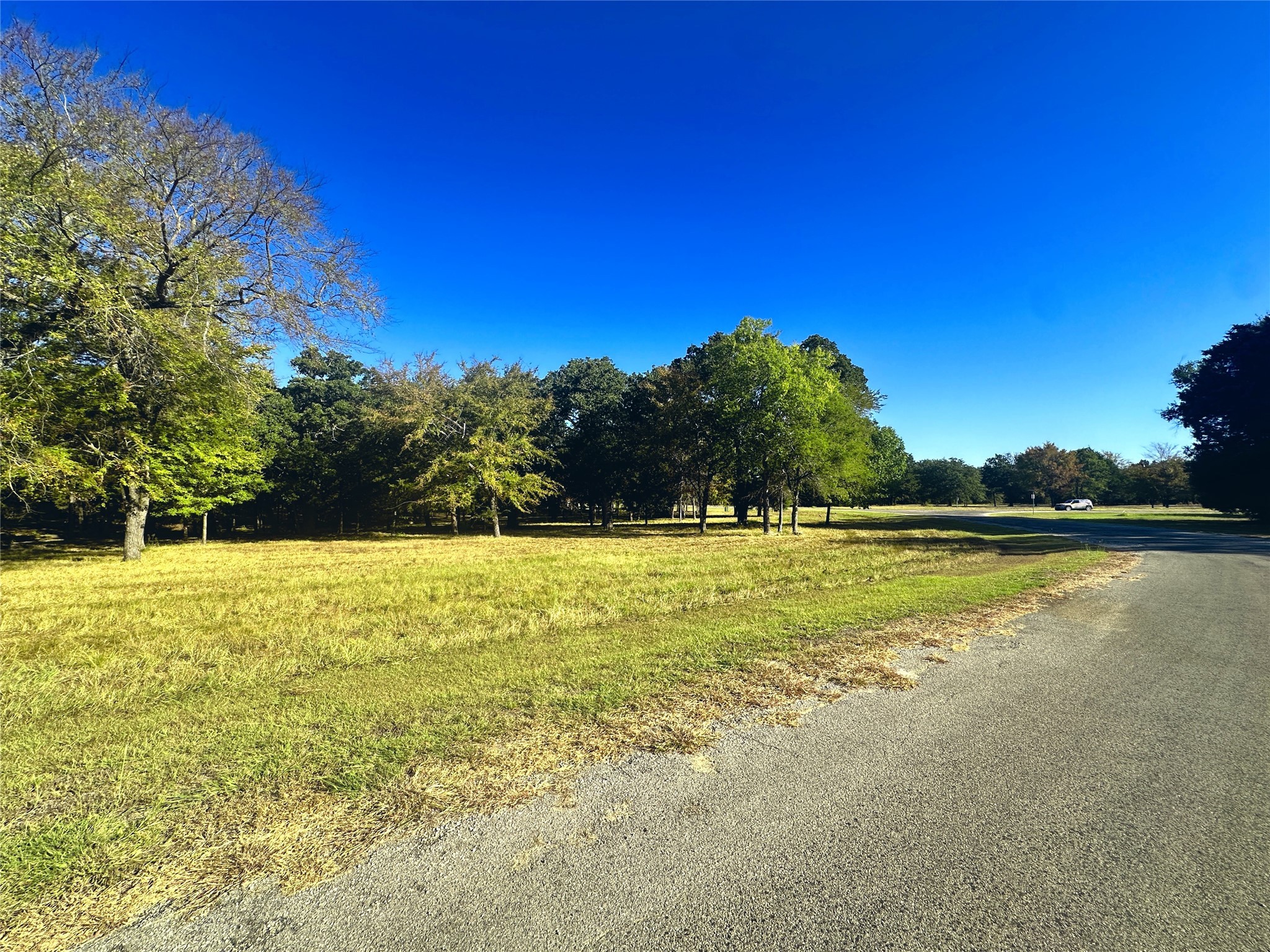Lot 65 Sombrilla Lane Kerens TX 75144