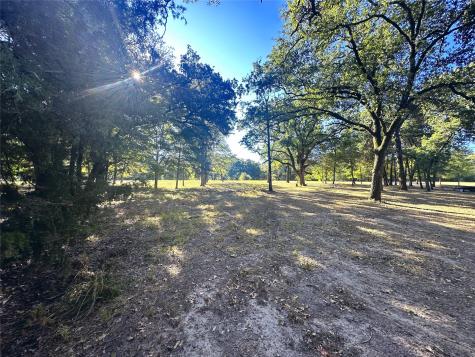 Lot 65 Sombrilla Lane Kerens TX 75144