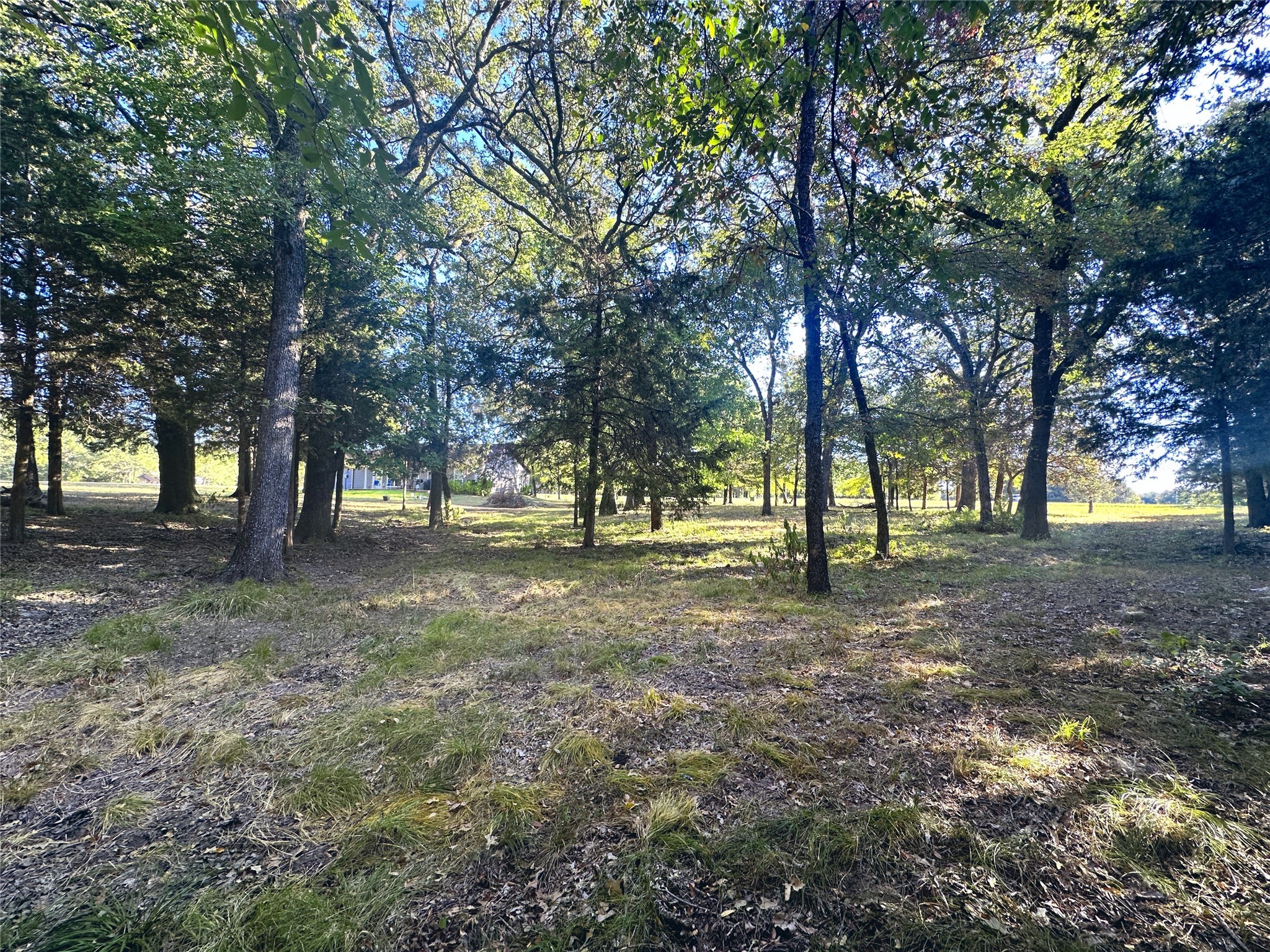 Lot 65 Sombrilla Lane Kerens TX 75144