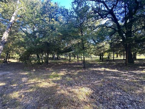 Lot 65 Sombrilla Lane Kerens TX 75144