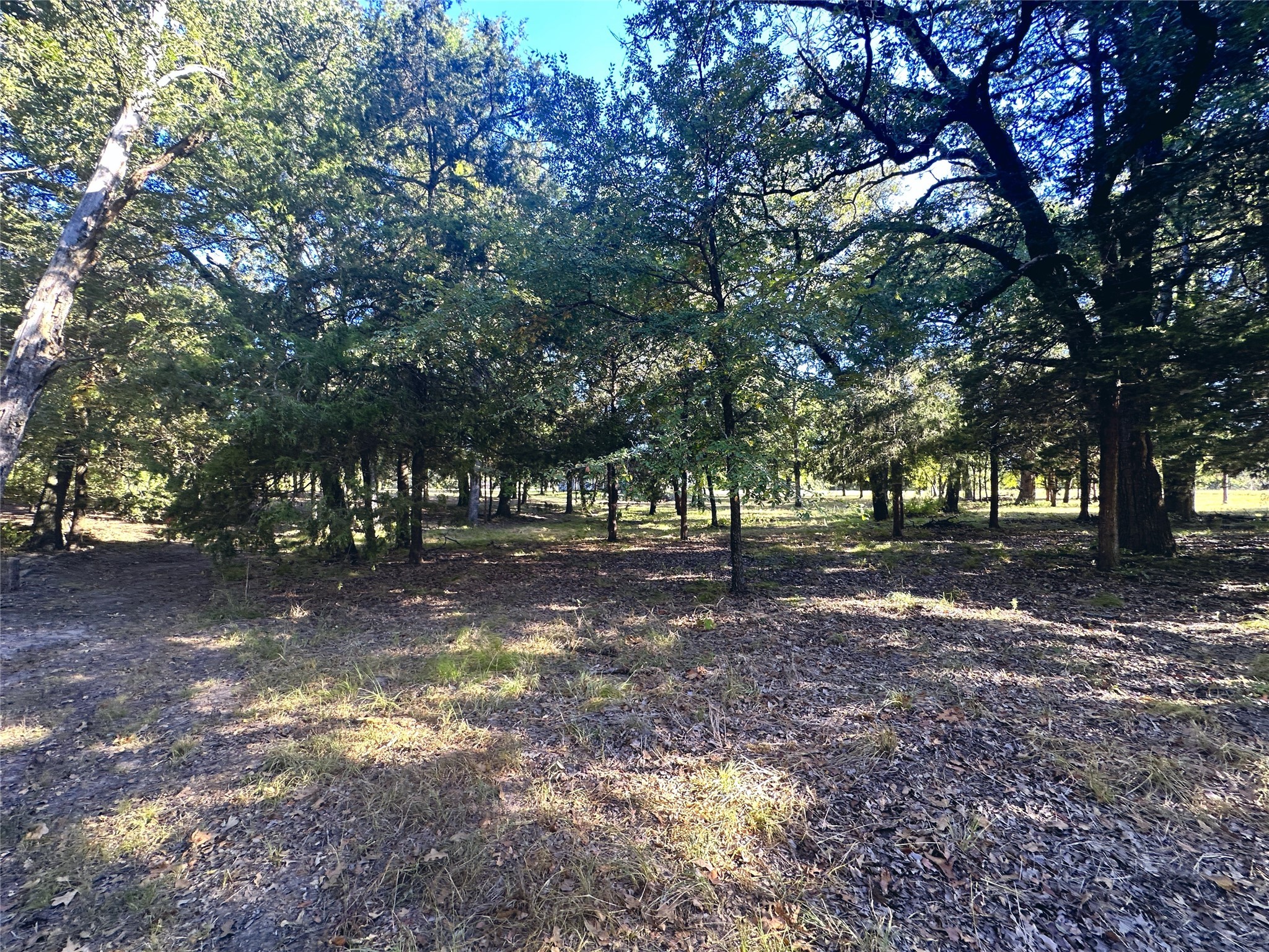 Lot 65 Sombrilla Lane Kerens TX 75144