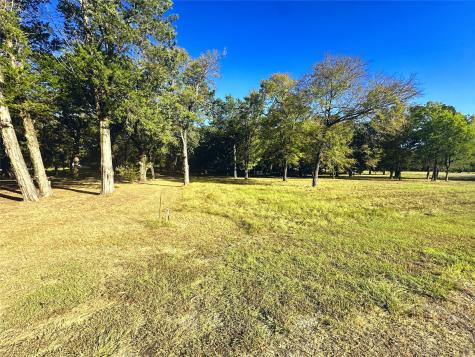 Lot 65 Sombrilla Lane Kerens TX 75144