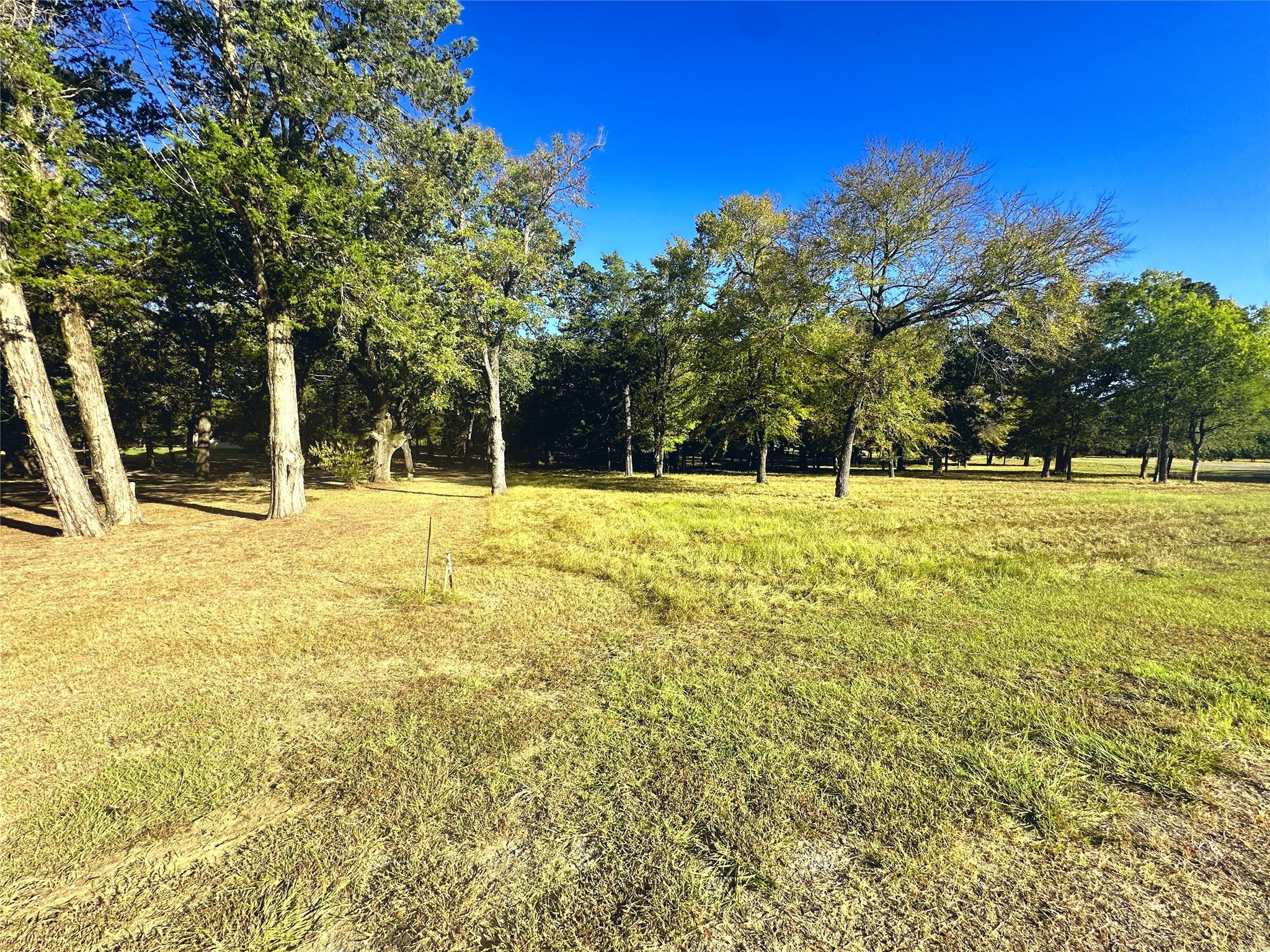 Lot 65 Sombrilla Lane Kerens TX 75144