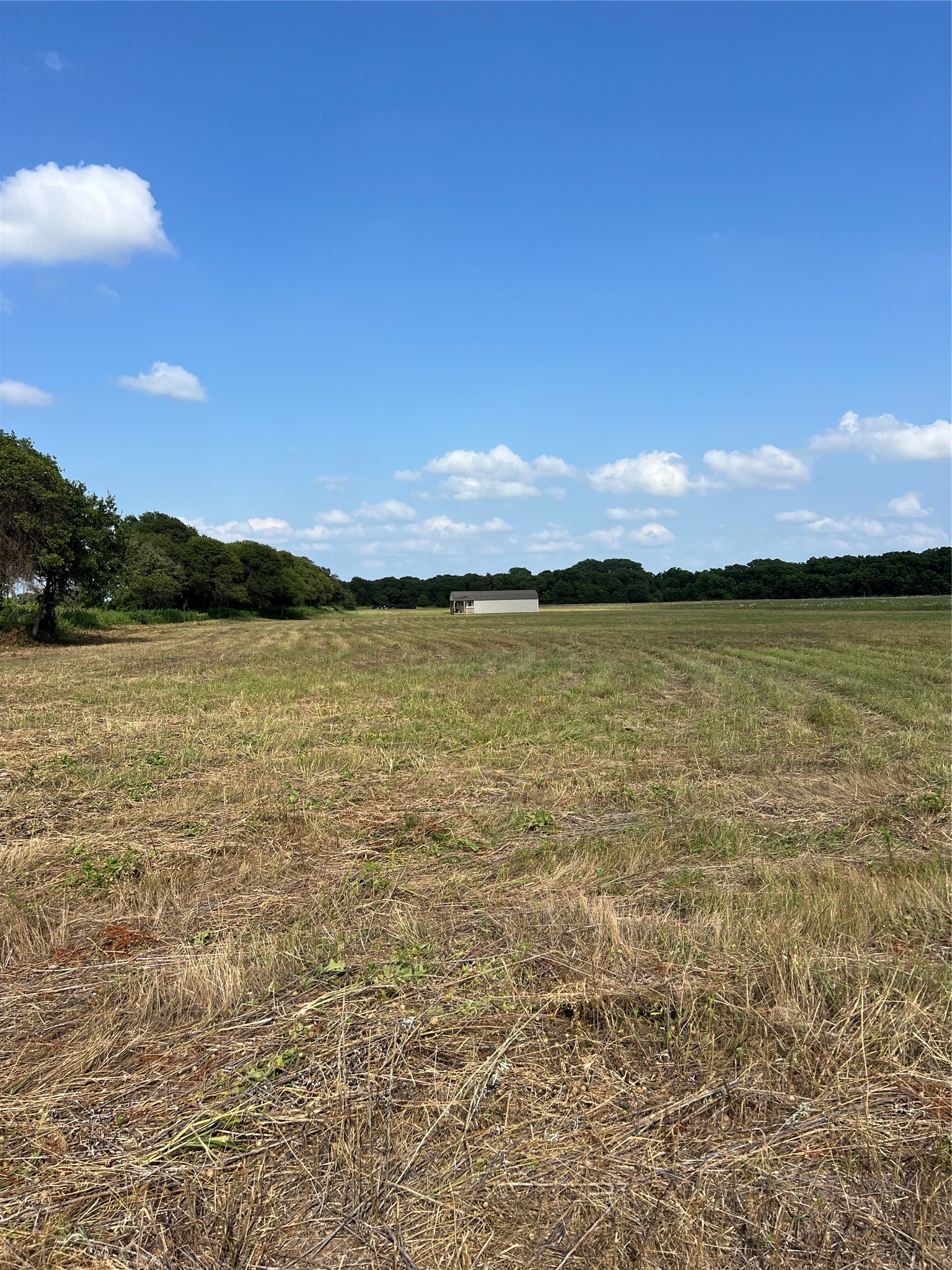 1757 County Road 252 Rising Star TX 76471