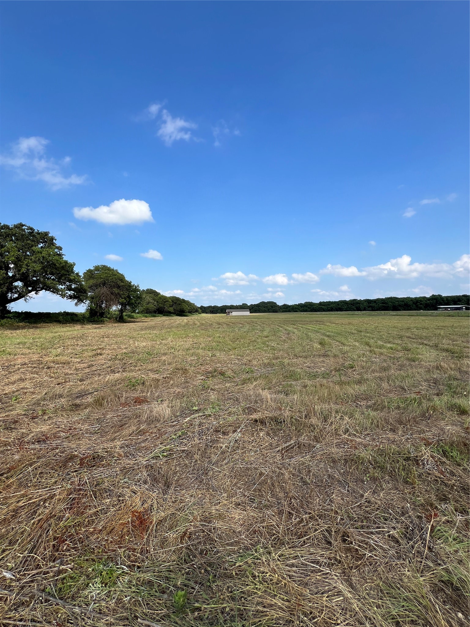1757 County Road 252 Rising Star TX 76471