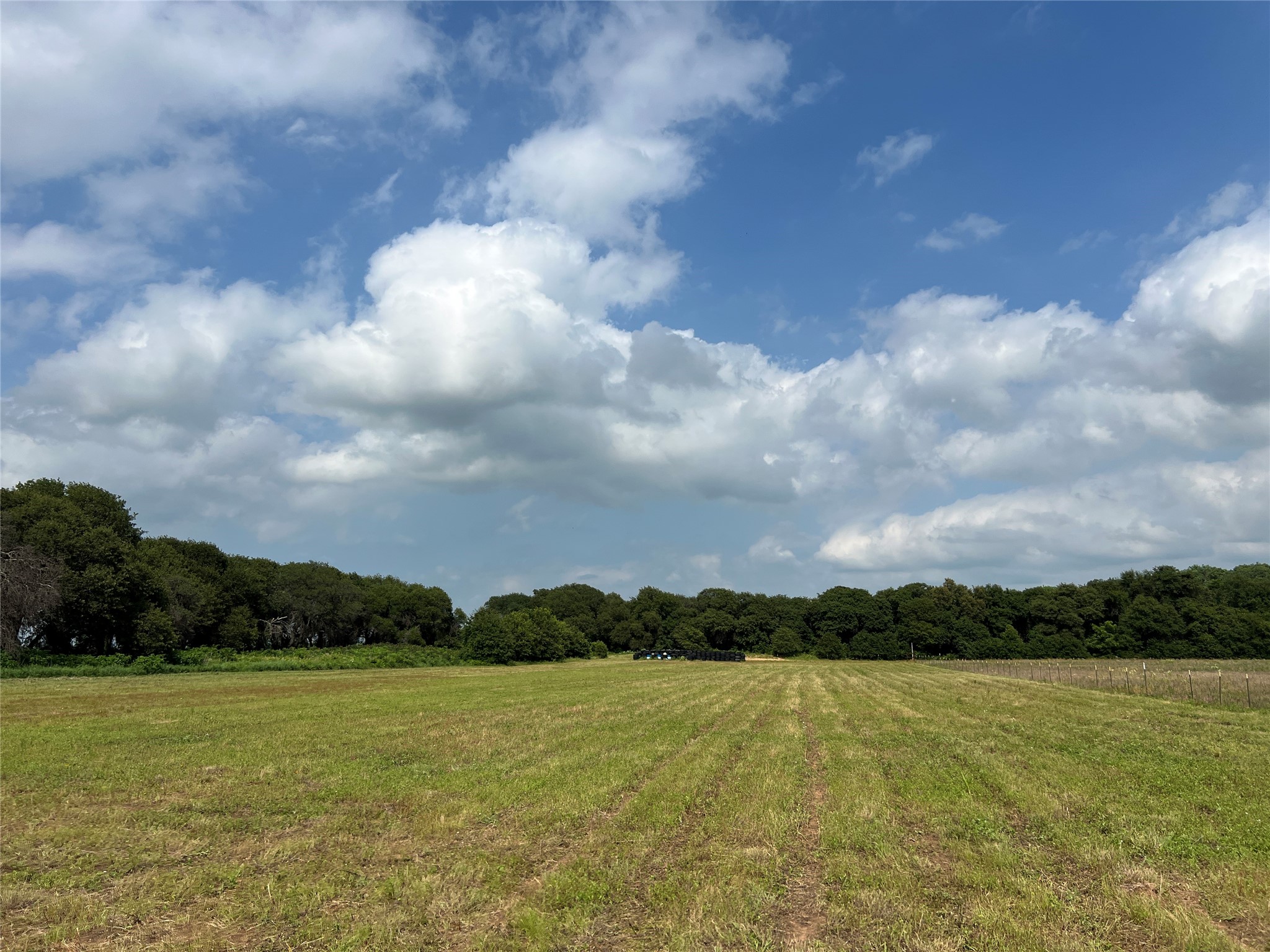 1757 County Road 252 Rising Star TX 76471