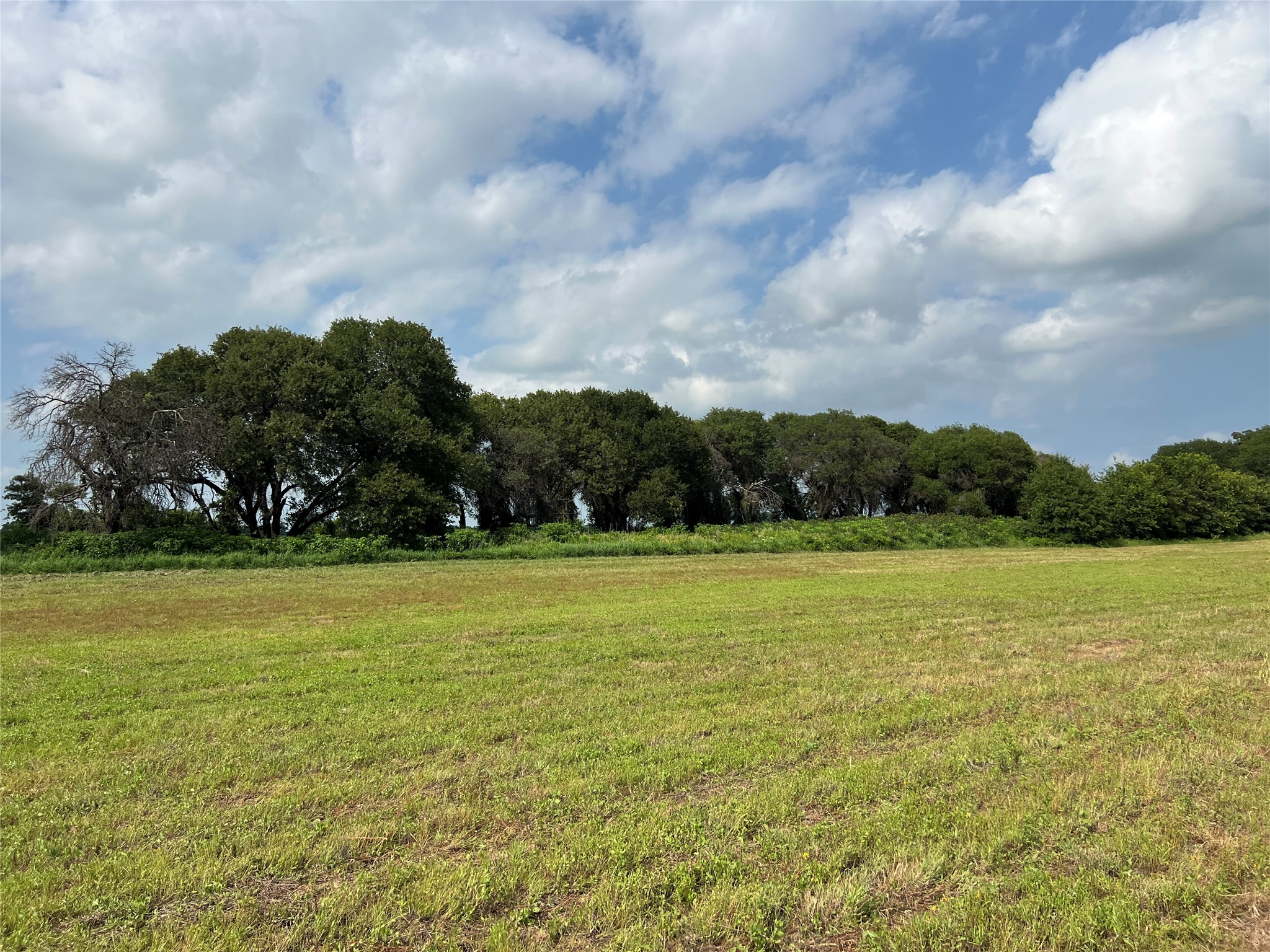 1757 County Road 252 Rising Star TX 76471