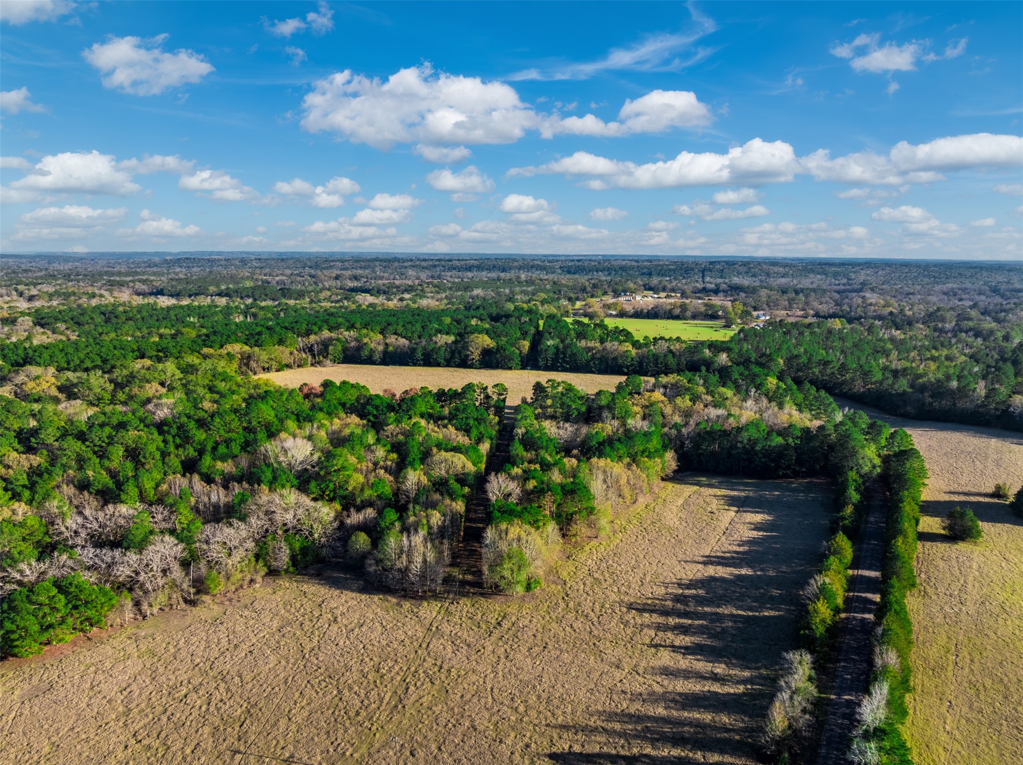 0 Acr 153 Palestine TX 75801
