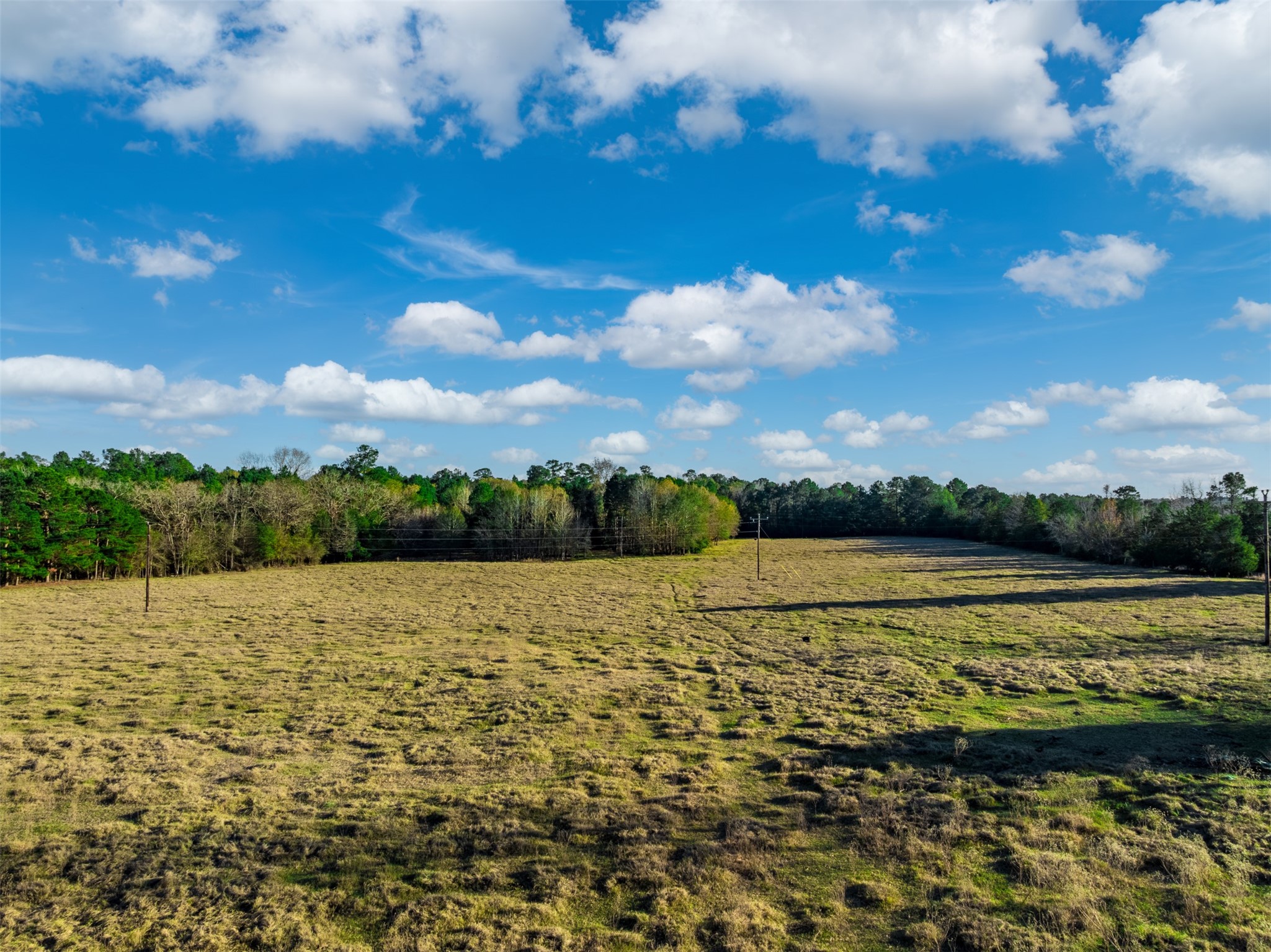 0 Acr 153 Palestine TX 75801
