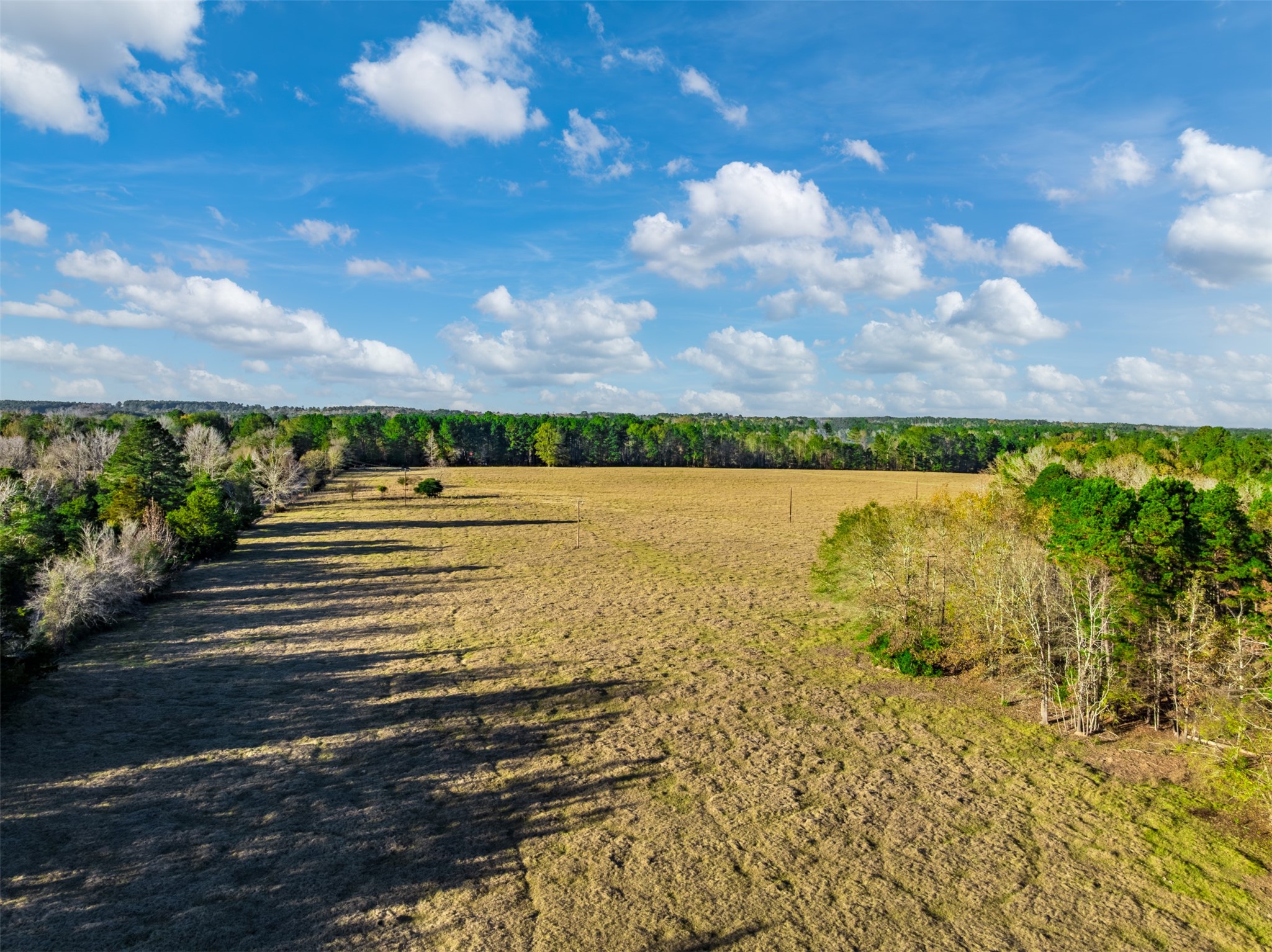 0 Acr 153 Palestine TX 75801