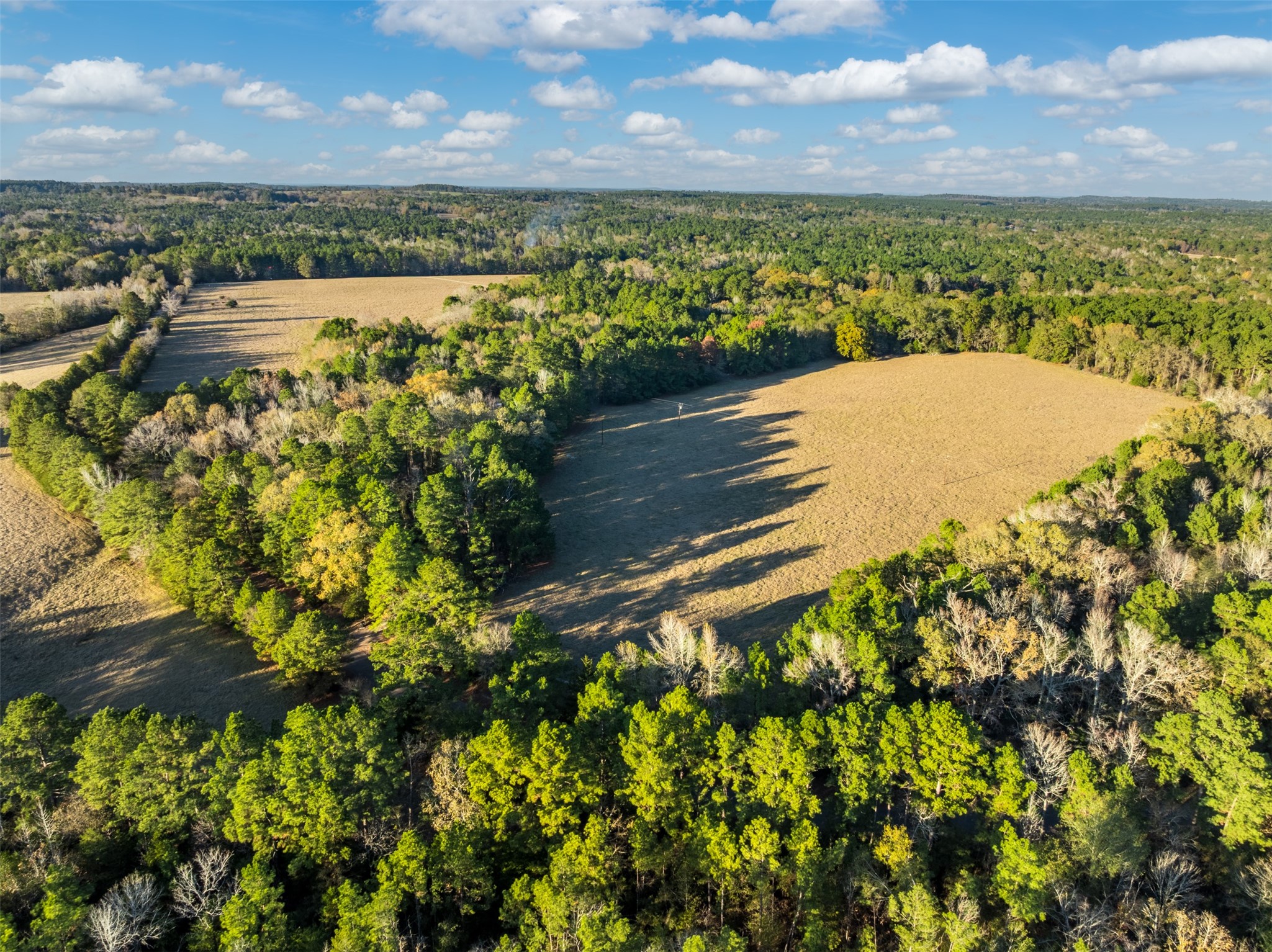 0 Acr 153 Palestine TX 75801