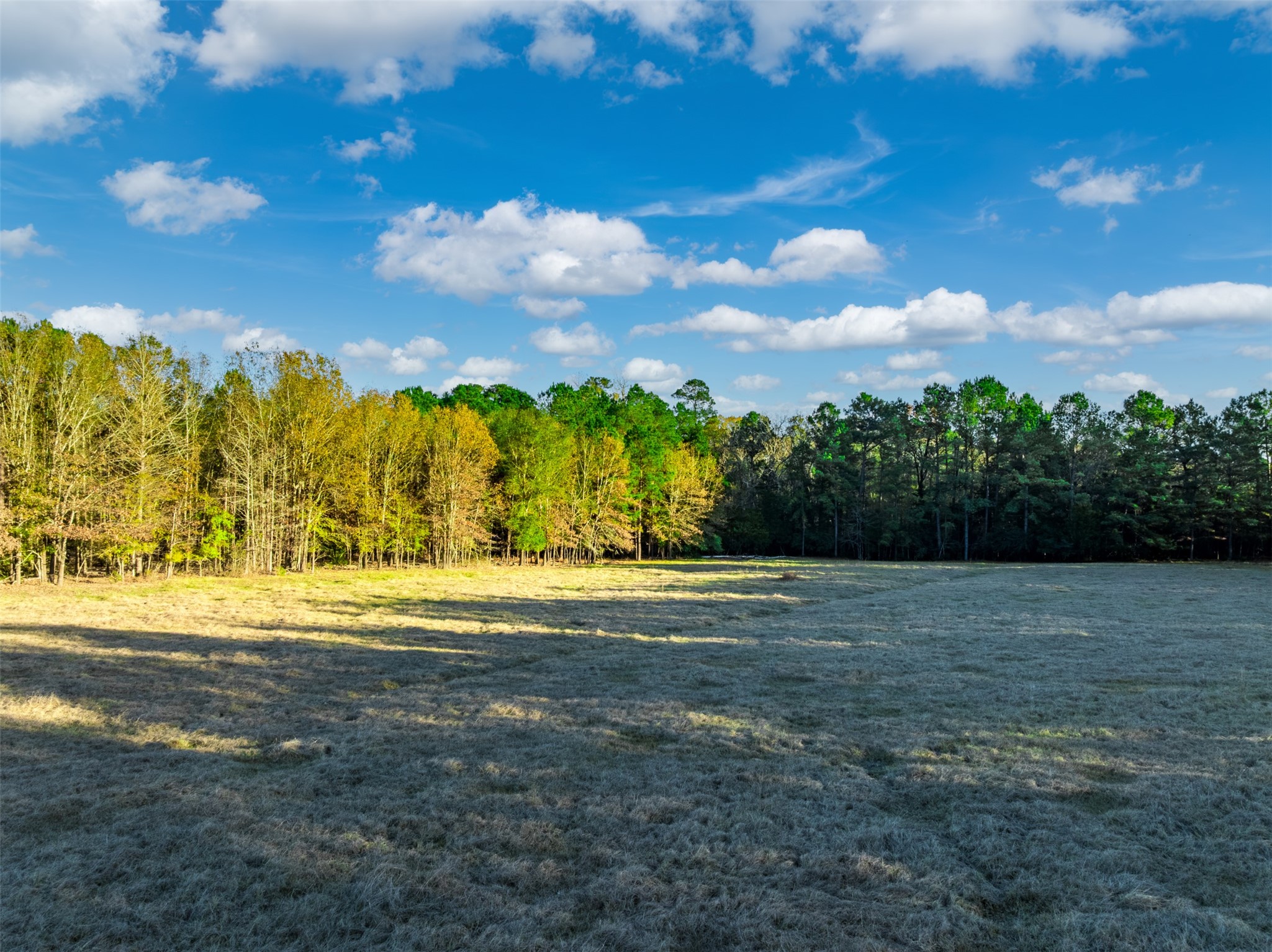 0 Acr 153 Palestine TX 75801