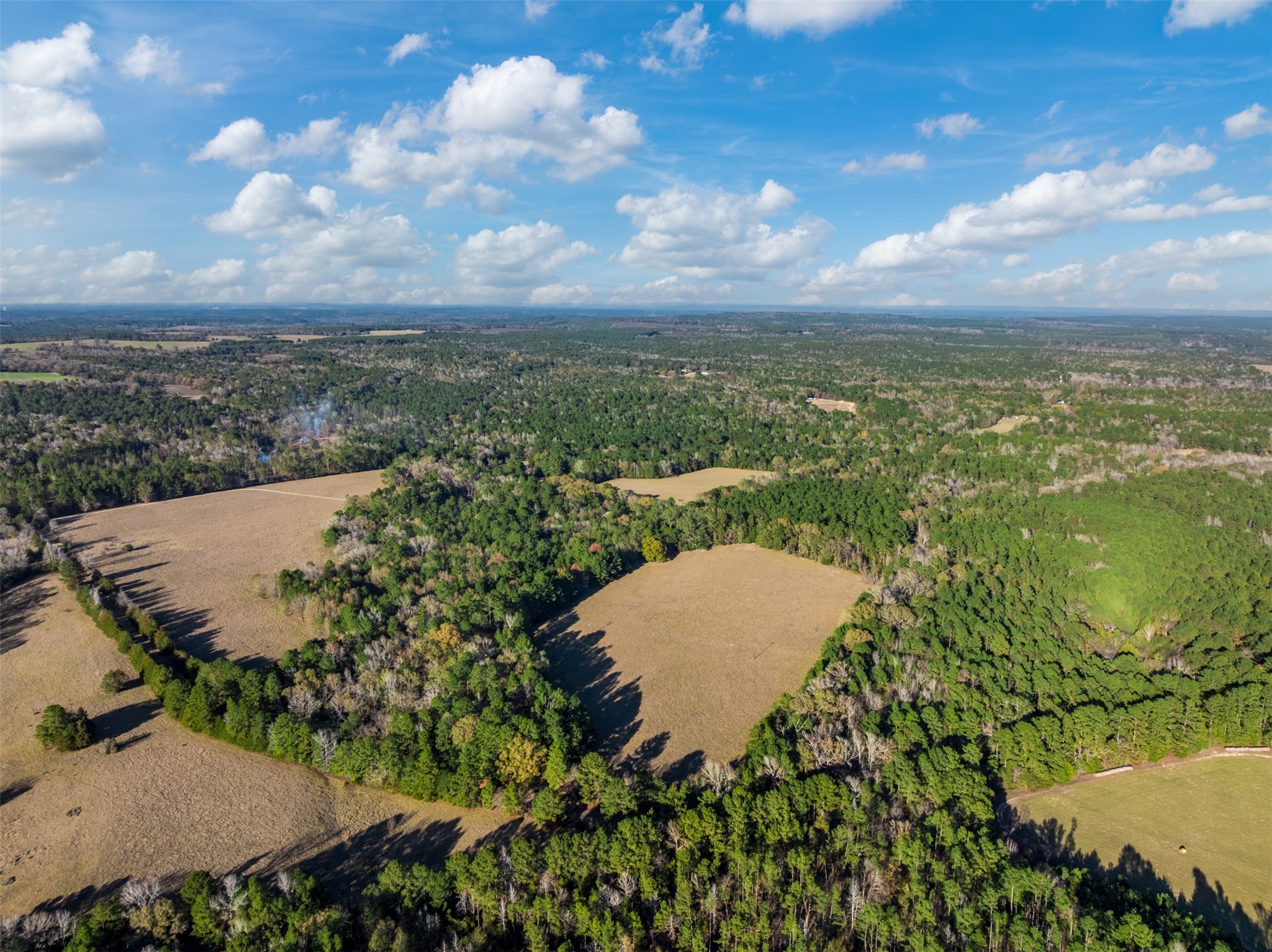 0 Acr 153 Palestine TX 75801