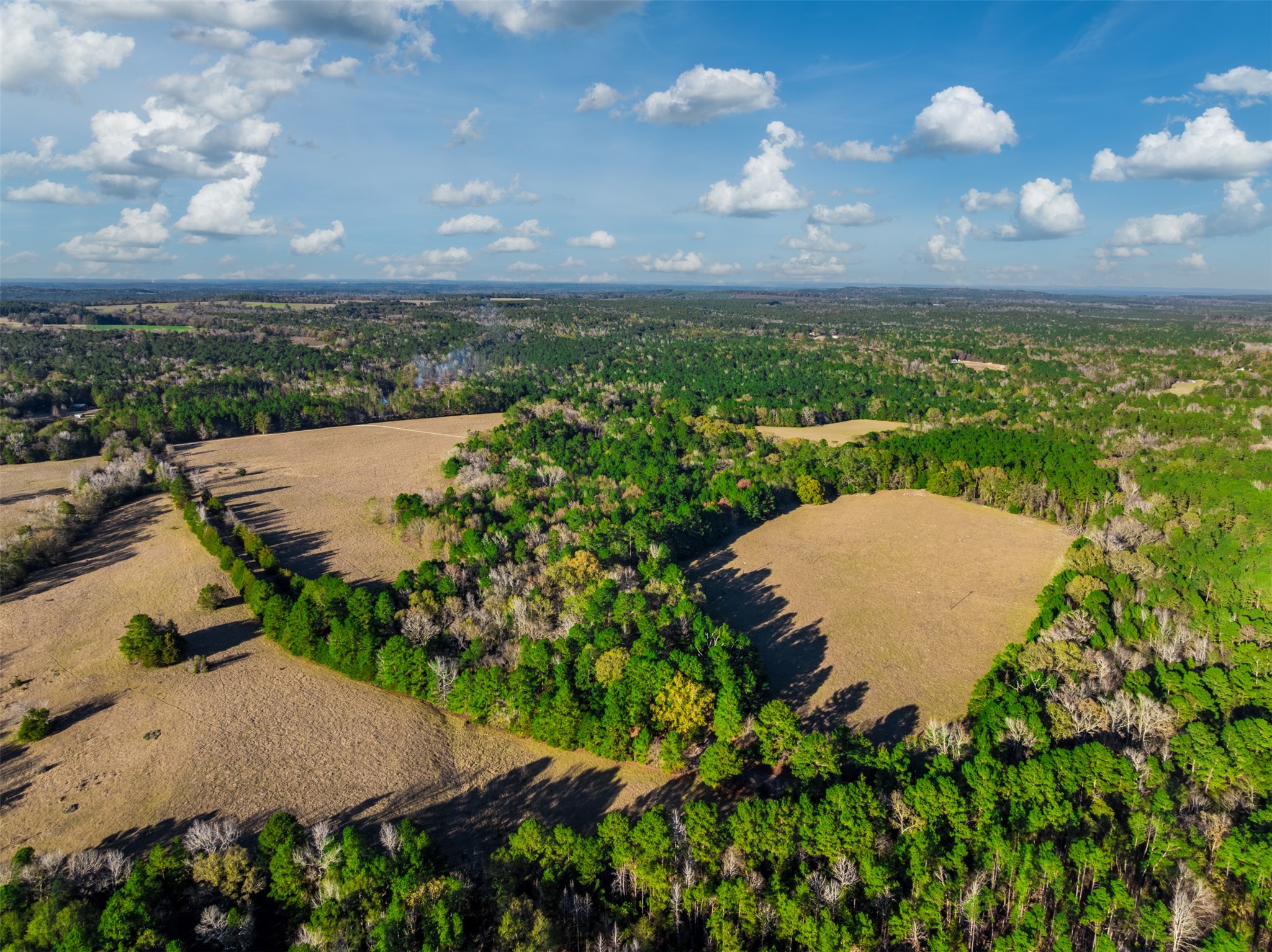 0 Acr 153 Palestine TX 75801