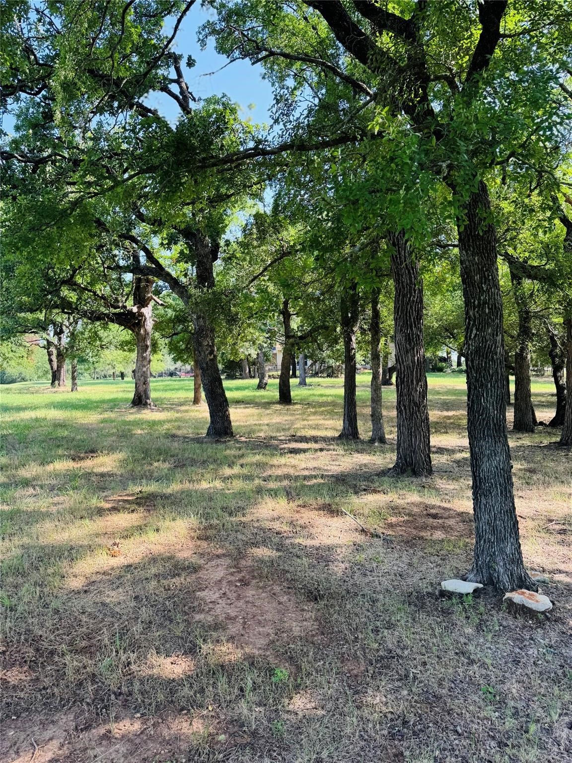 14004 Sandy Oaks Drive Whitney TX 76692