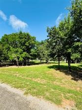 14004 Sandy Oaks Drive Whitney TX 76692