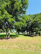 14004 Sandy Oaks Drive Whitney TX 76692