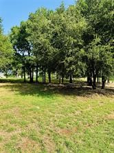 14004 Sandy Oaks Drive Whitney TX 76692