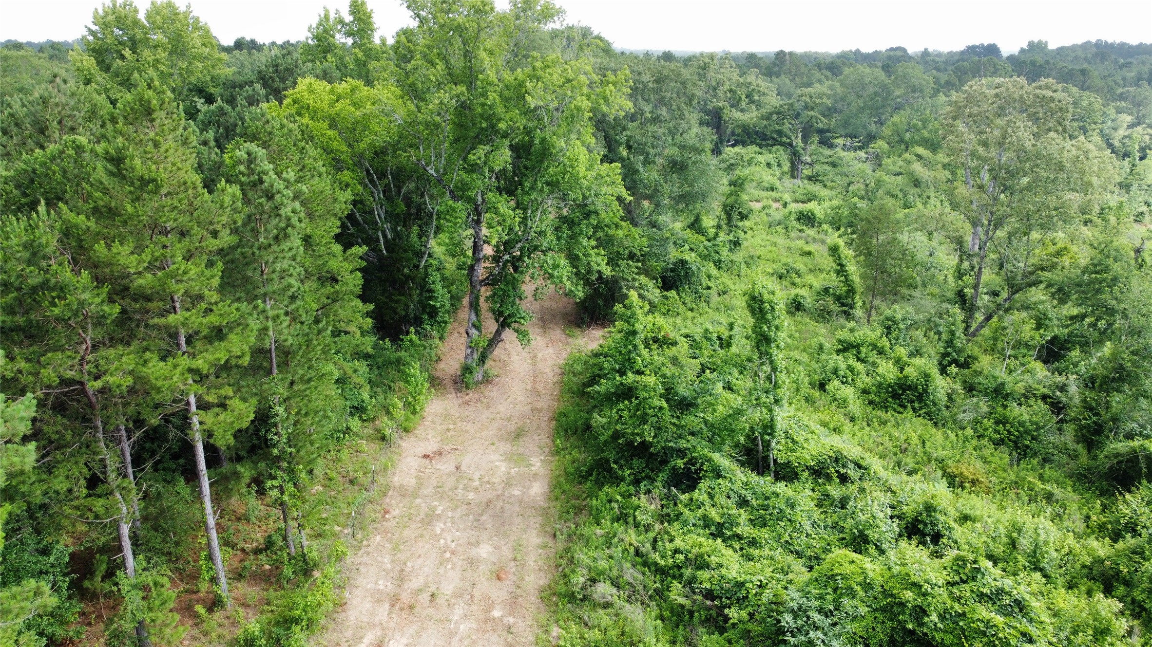 Tbd County Road 385 Tyler TX 75708