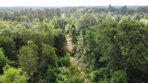Tbd County Road 385 Tyler TX 75708