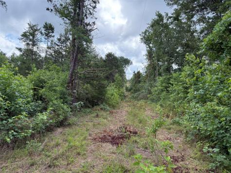 Tbd County Road 385 Tyler TX 75708