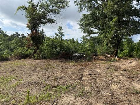 Tbd County Road 385 Tyler TX 75708
