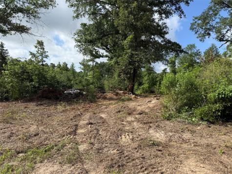 Tbd County Road 385 Tyler TX 75708