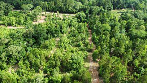 Tbd County Road 385 Tyler TX 75708