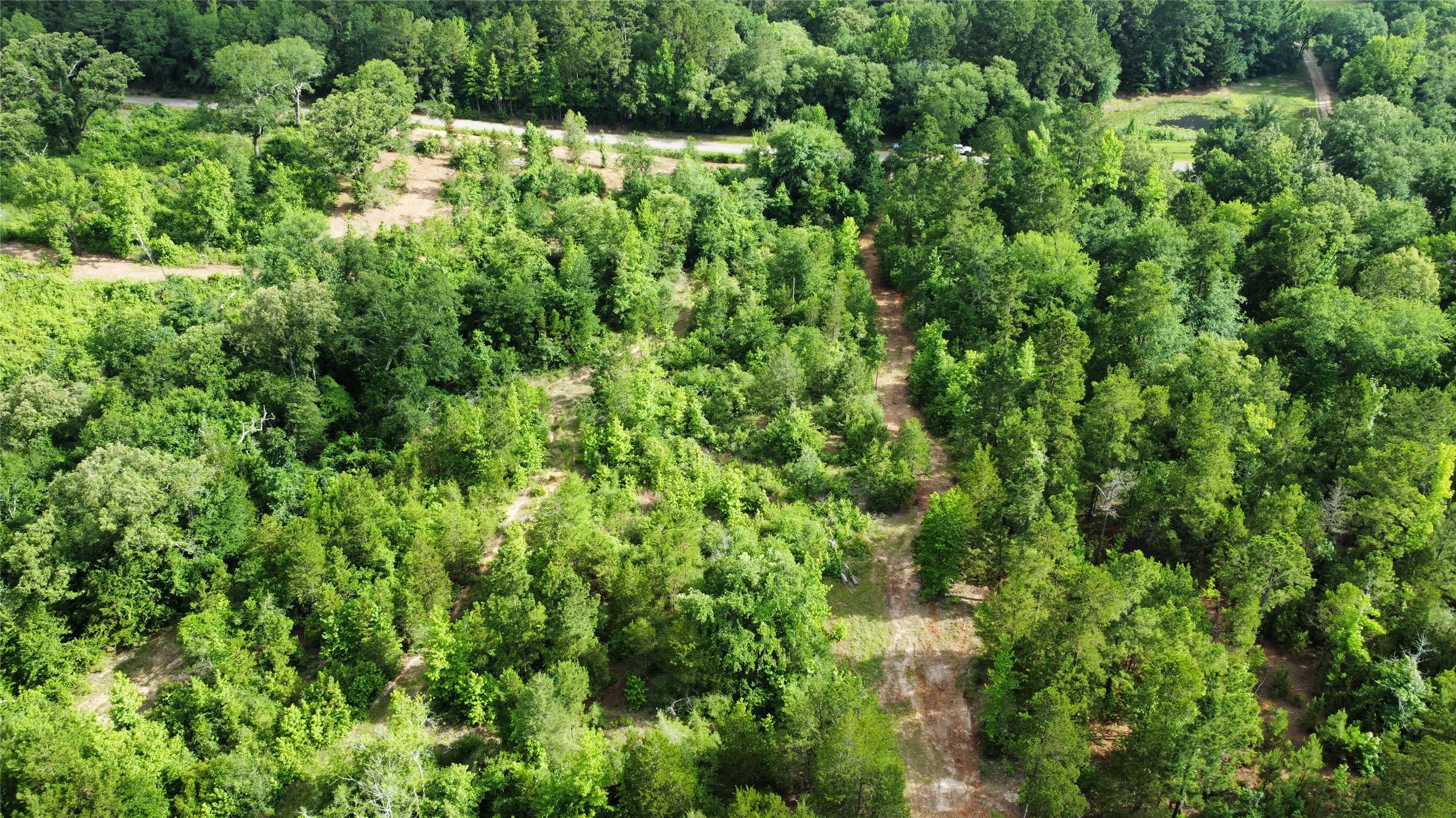 Tbd County Road 385 Tyler TX 75708