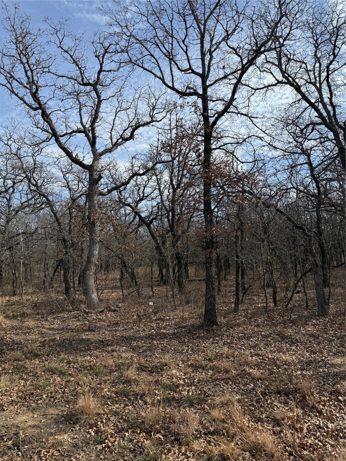 0 Miller Court Runaway Bay TX 76426