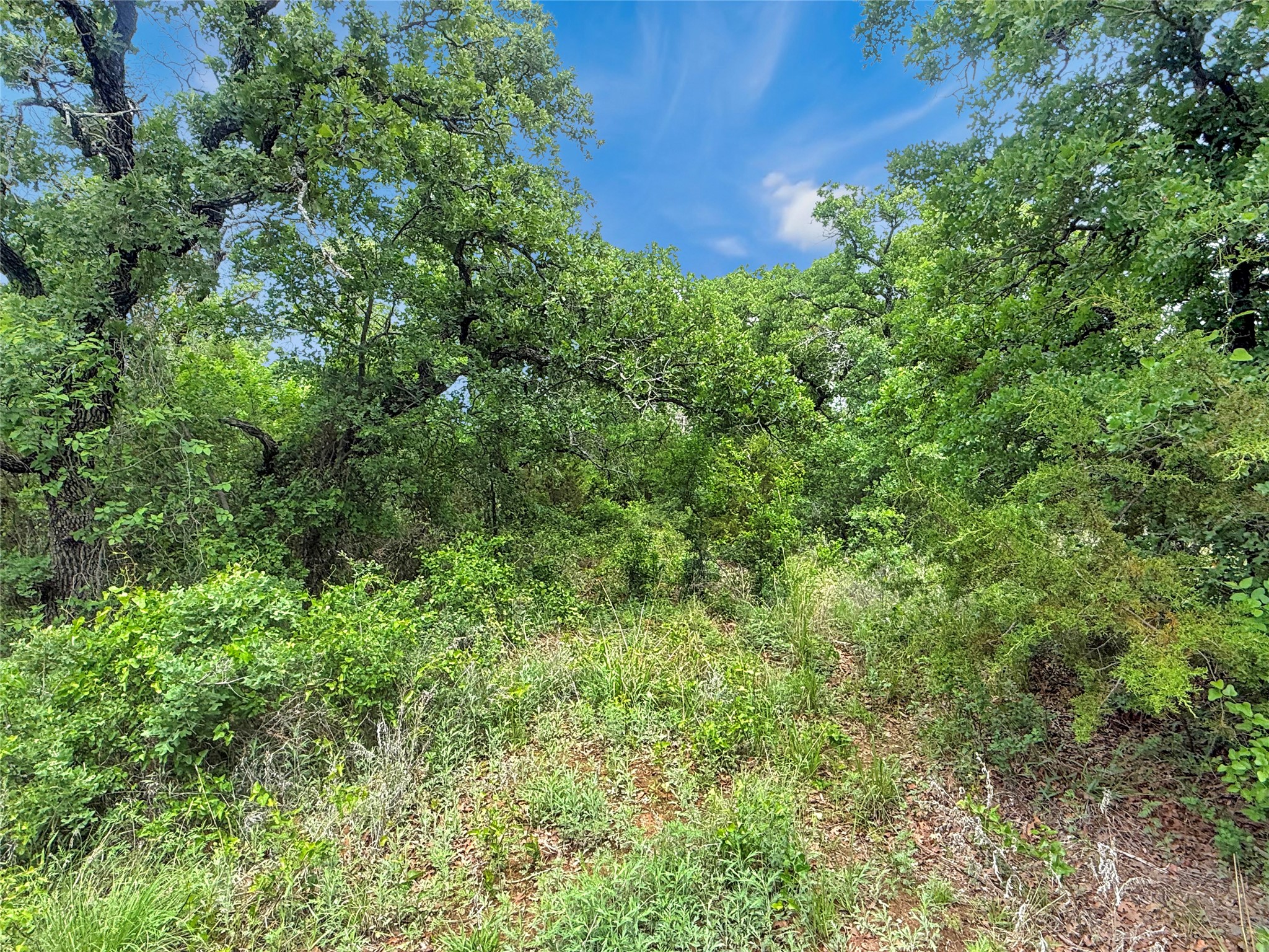 Tbd Comanche Moon Drive Mingus TX 76463