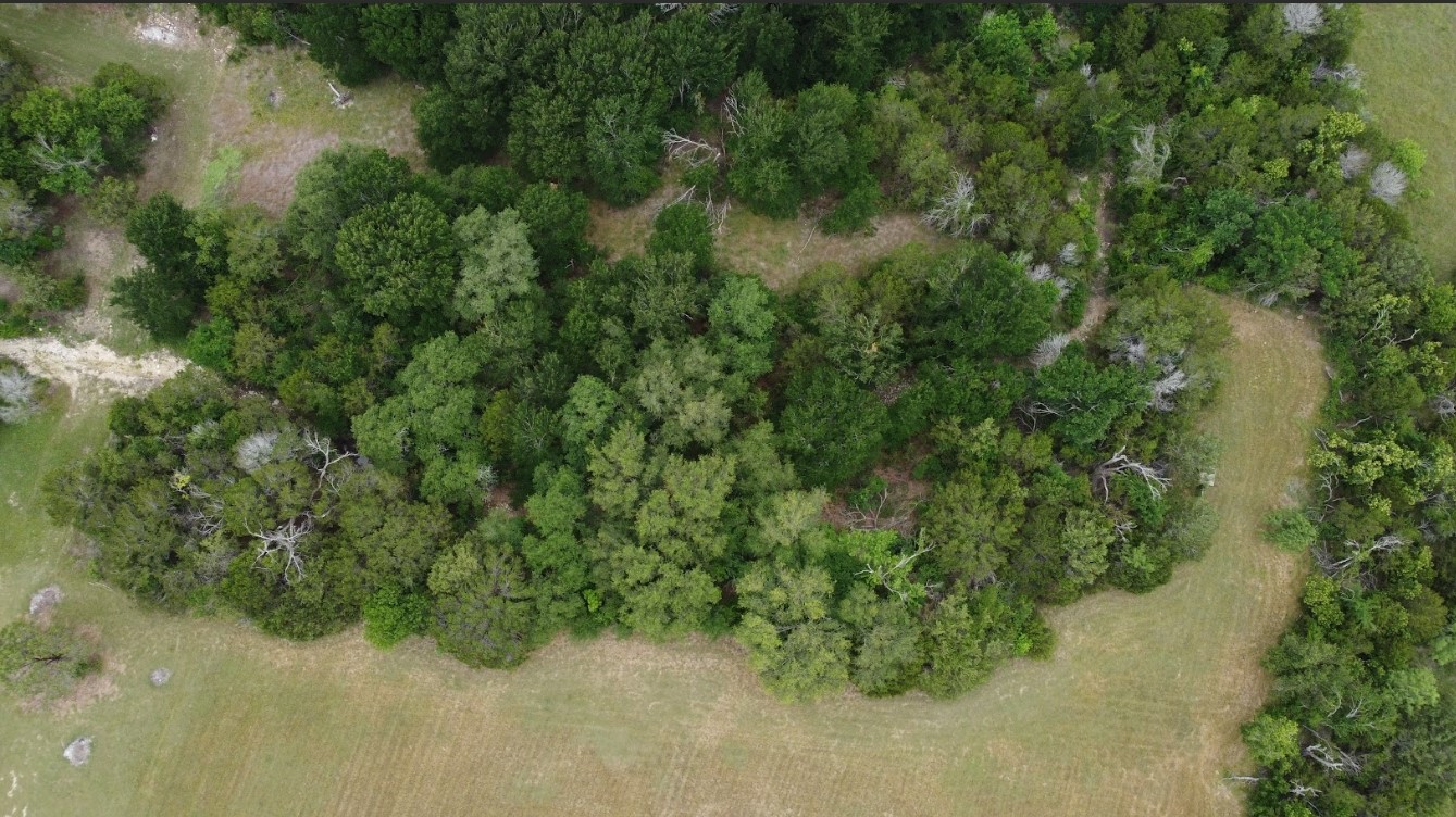 339 Private Road 2658 Walnut Springs TX 76690