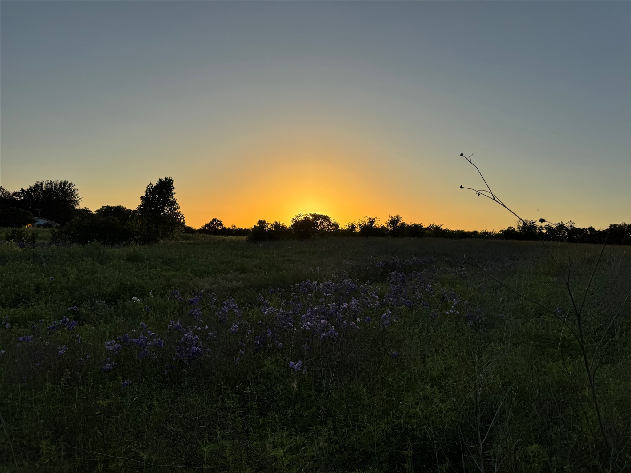 Tbd 4120 Meridian TX 76665