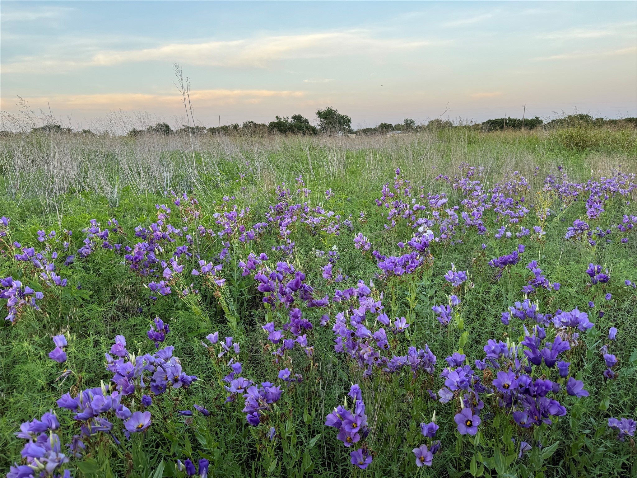 Tbd 4120 Meridian TX 76665