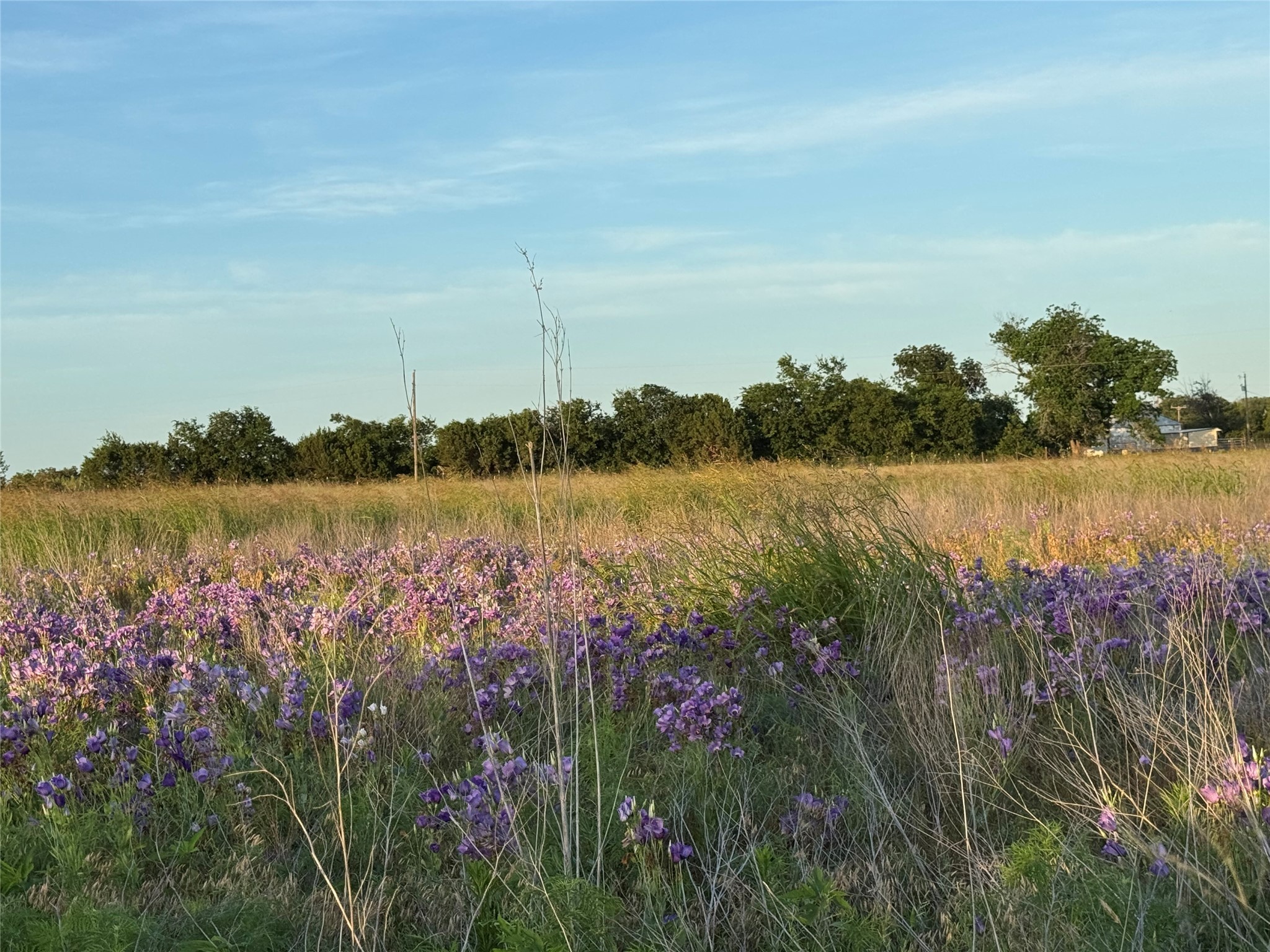 Tbd 4120 Meridian TX 76665