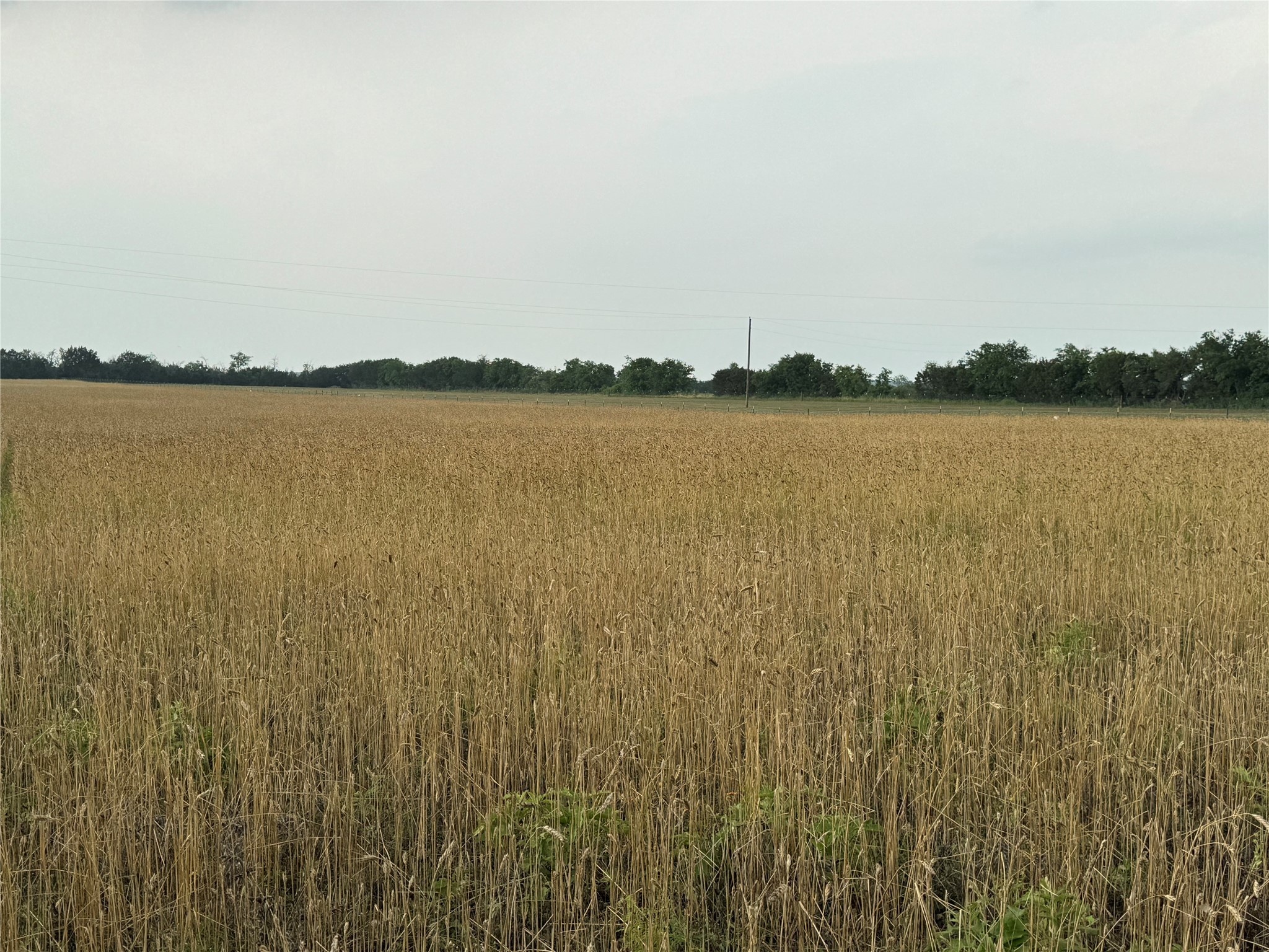 Tbd 4120 Meridian TX 76665