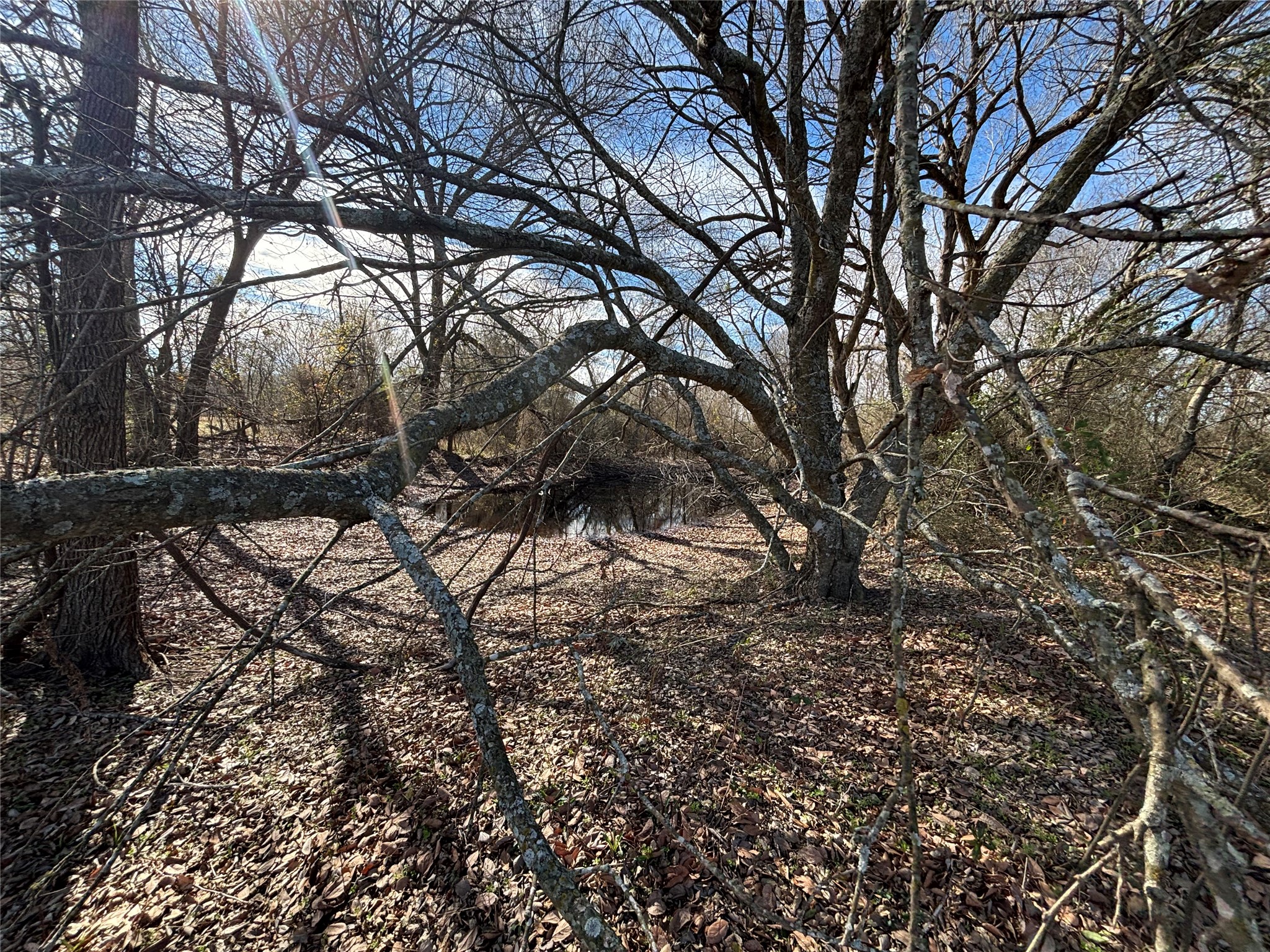 Tbd Cr 2139 Kemp TX 75143