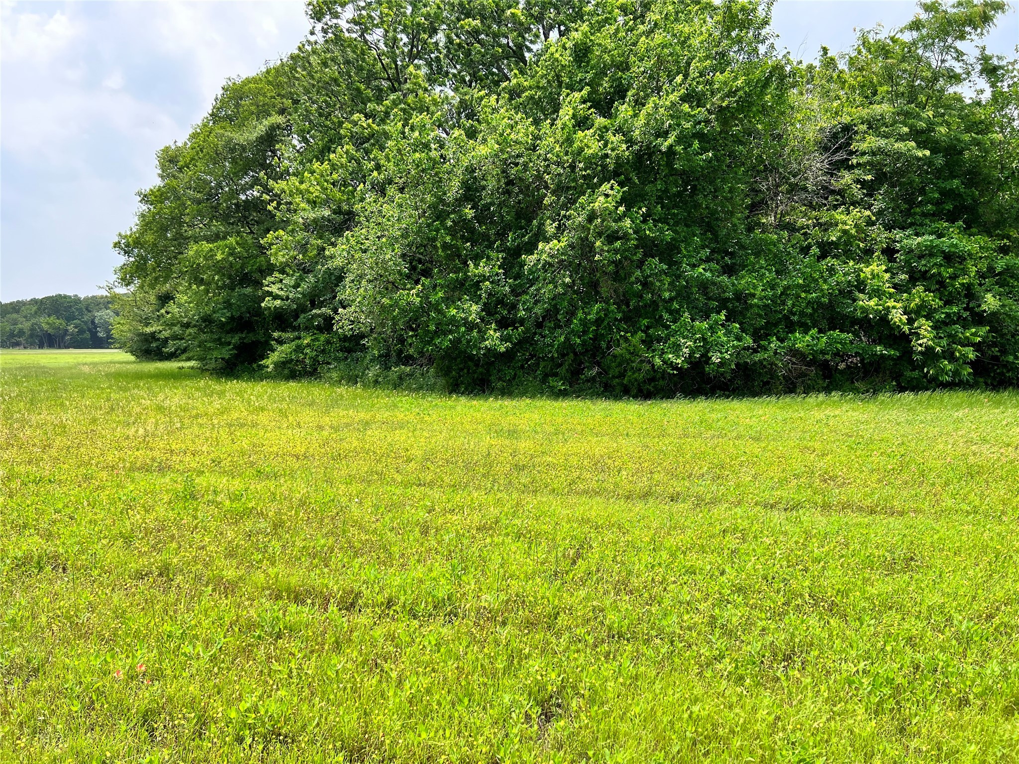Lot 79 Clubhouse Drive Corsicana TX 75109
