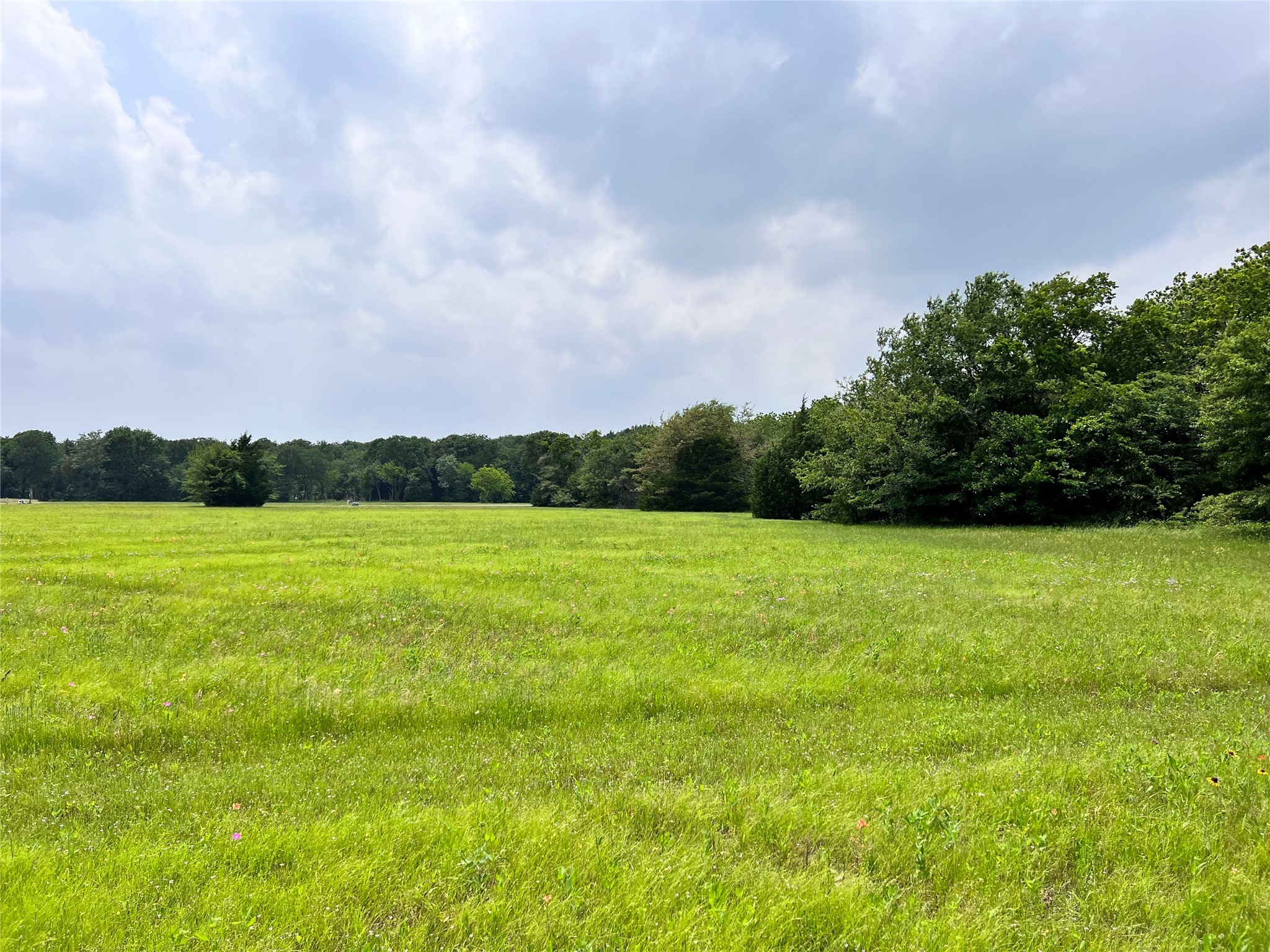 Lot 79 Clubhouse Drive Corsicana TX 75109