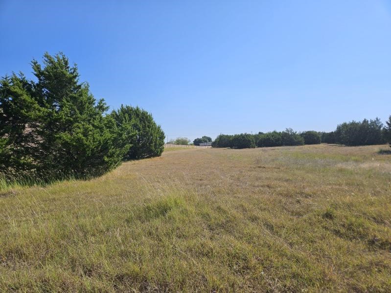 1000 S Joe Wilson Road Cedar Hill TX 75104