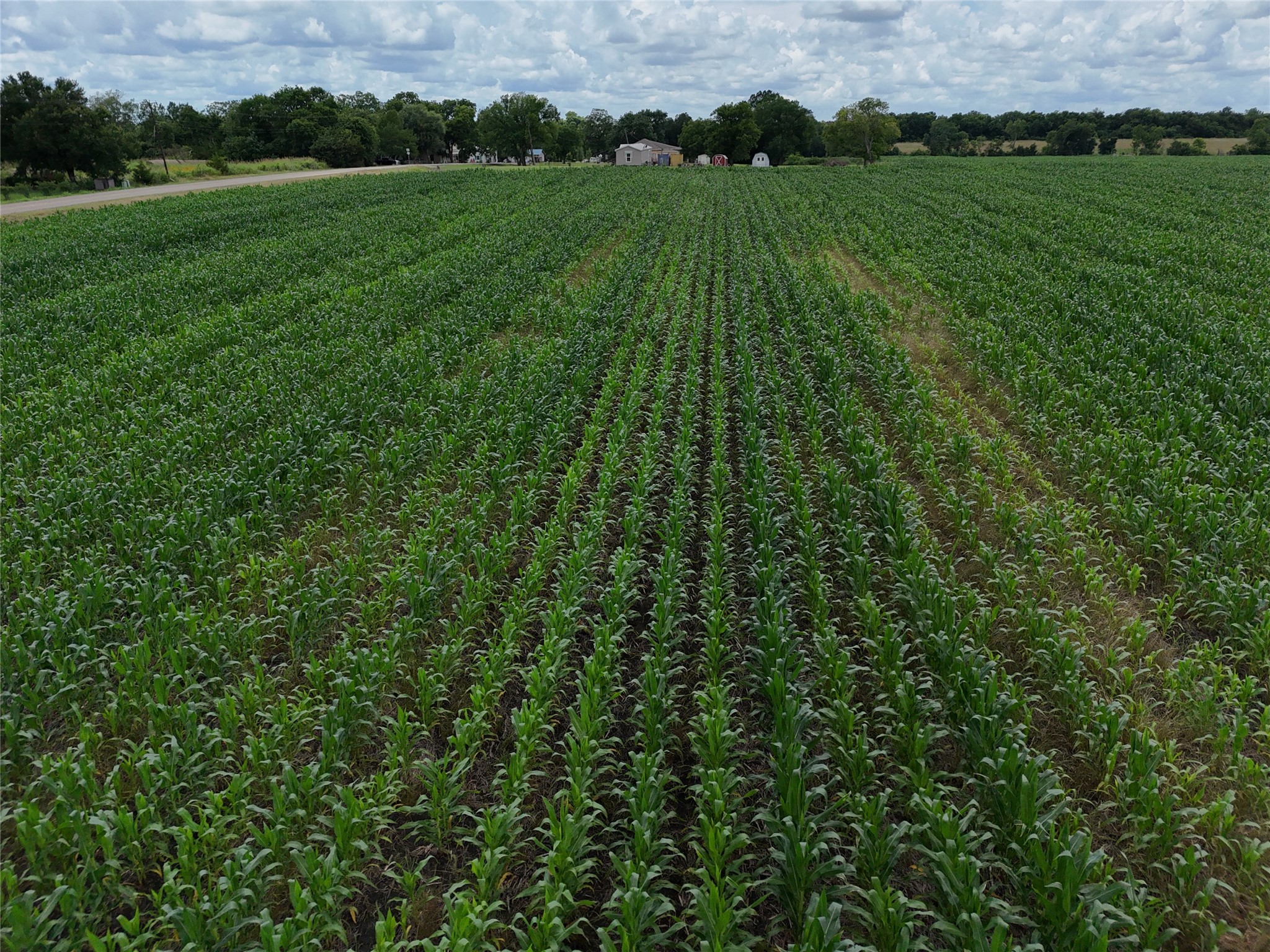150001 Fm 198 Enloe TX 75441